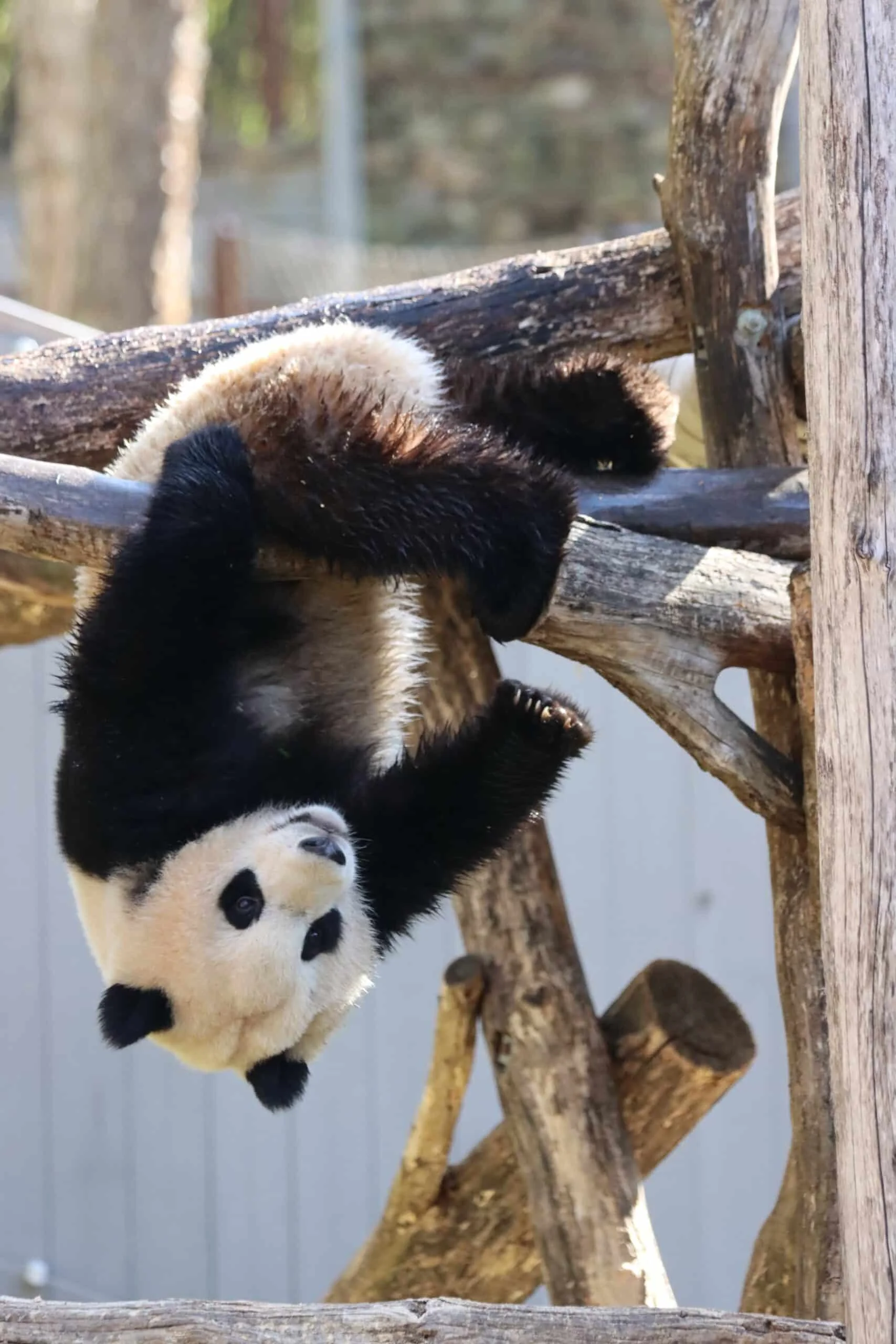 Smithsonian's National Zoo