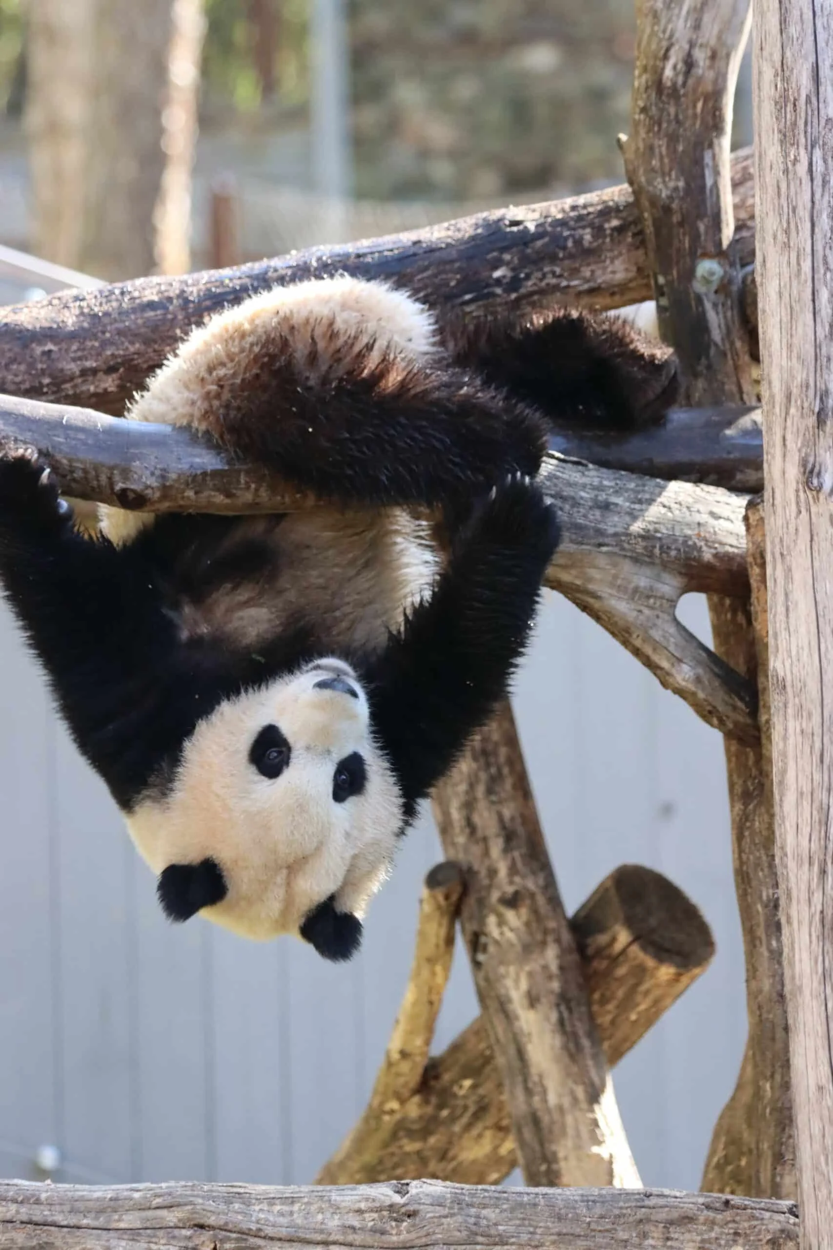 Smithsonian's National Zoo