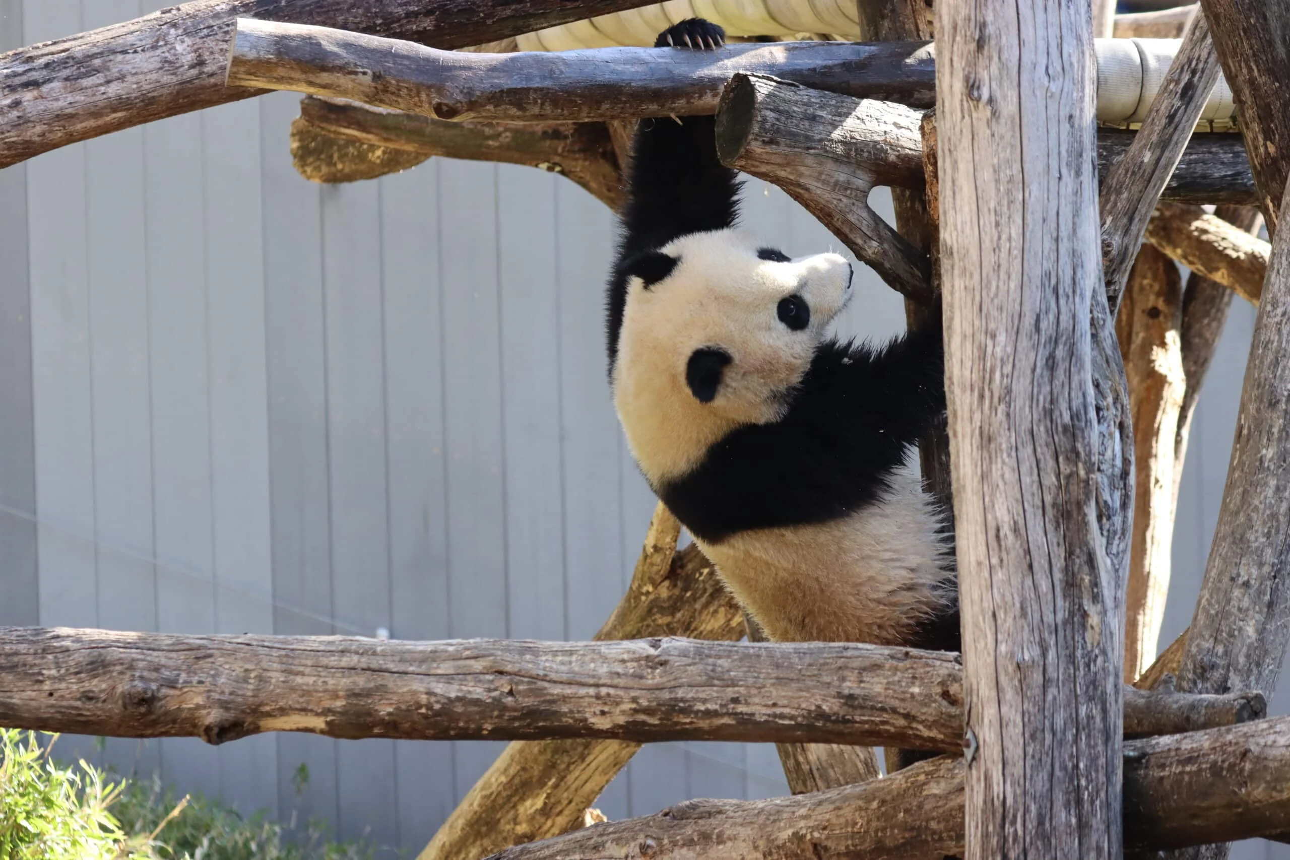 Smithsonian's National Zoo