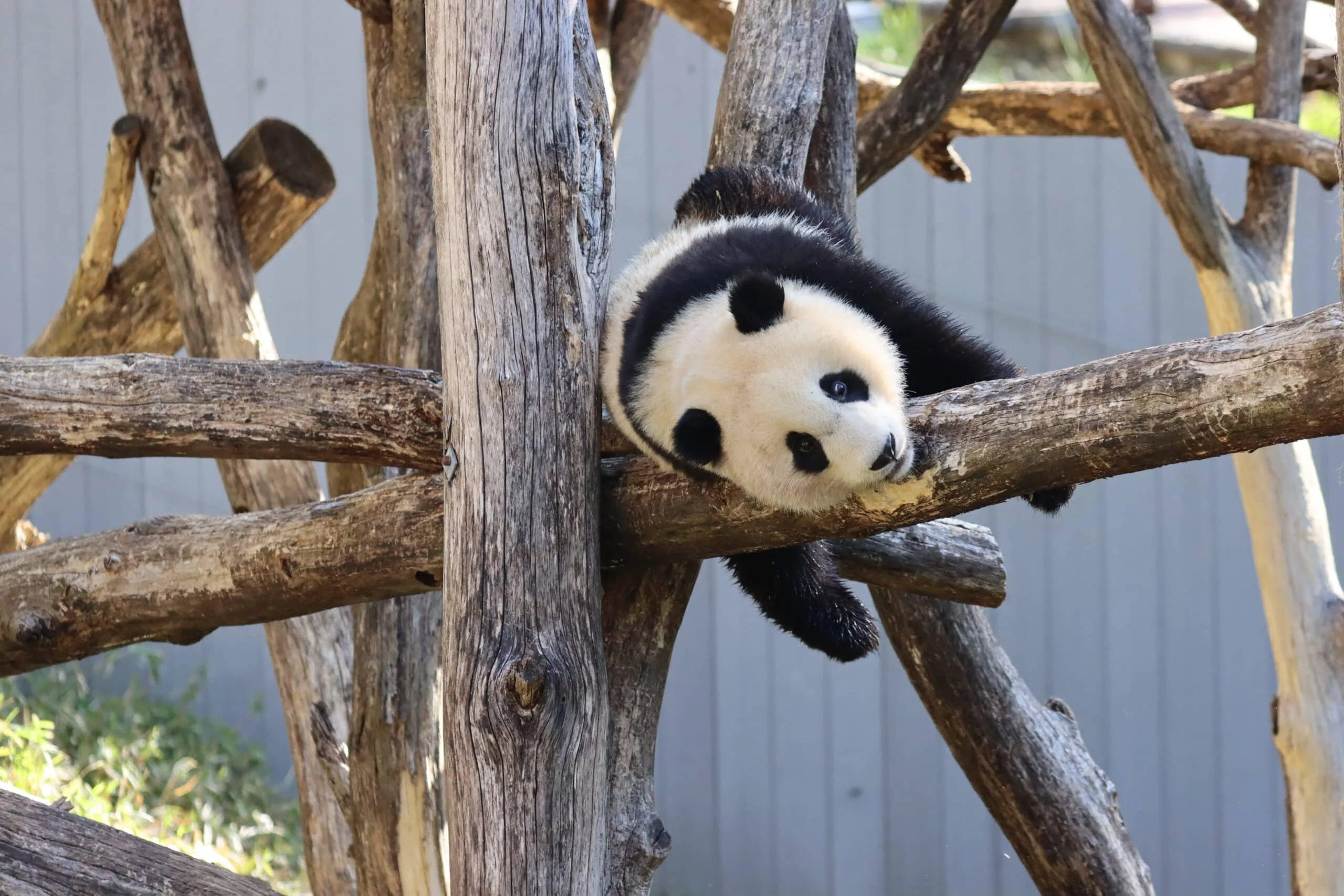 Smithsonian's National Zoo