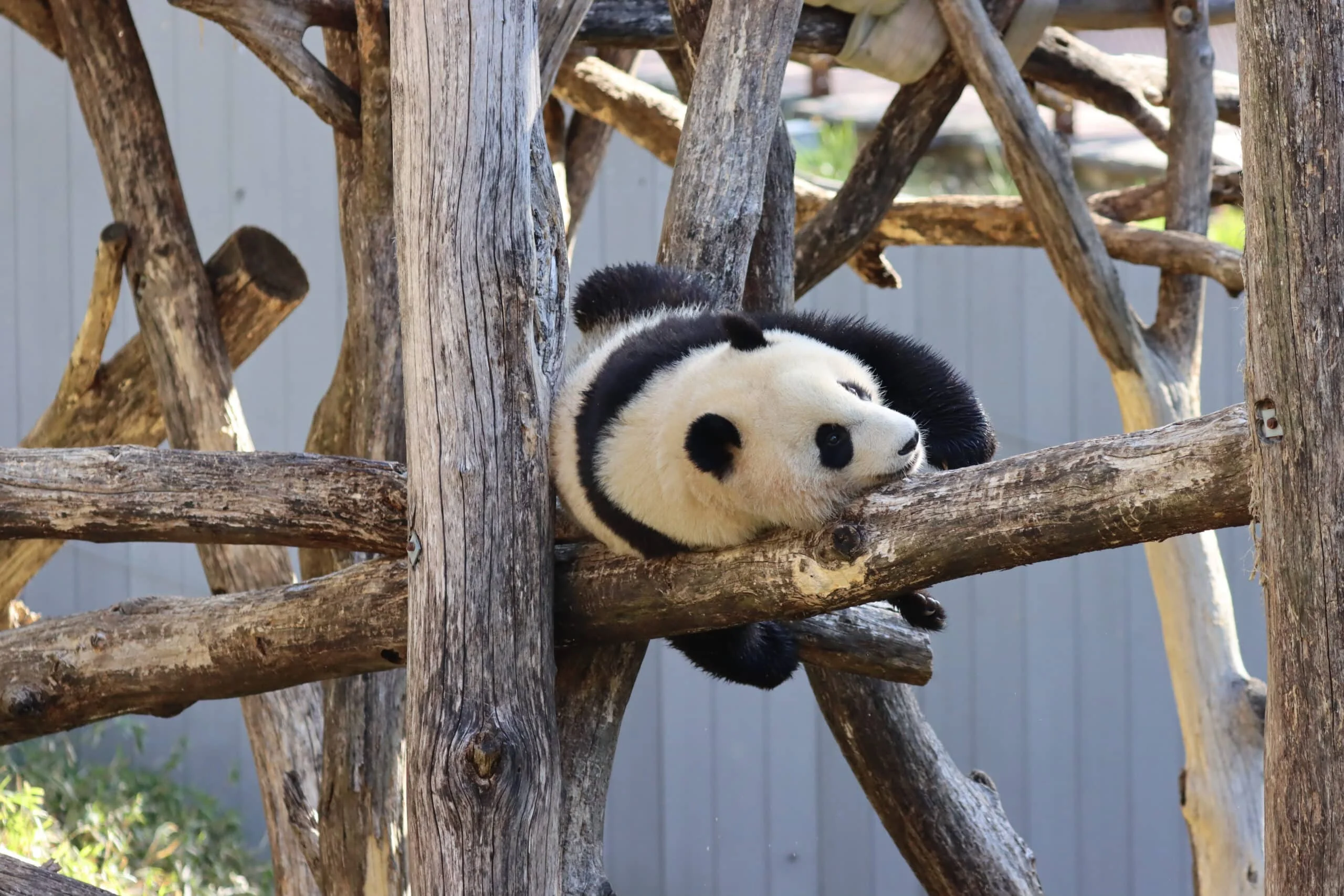 Smithsonian's National Zoo