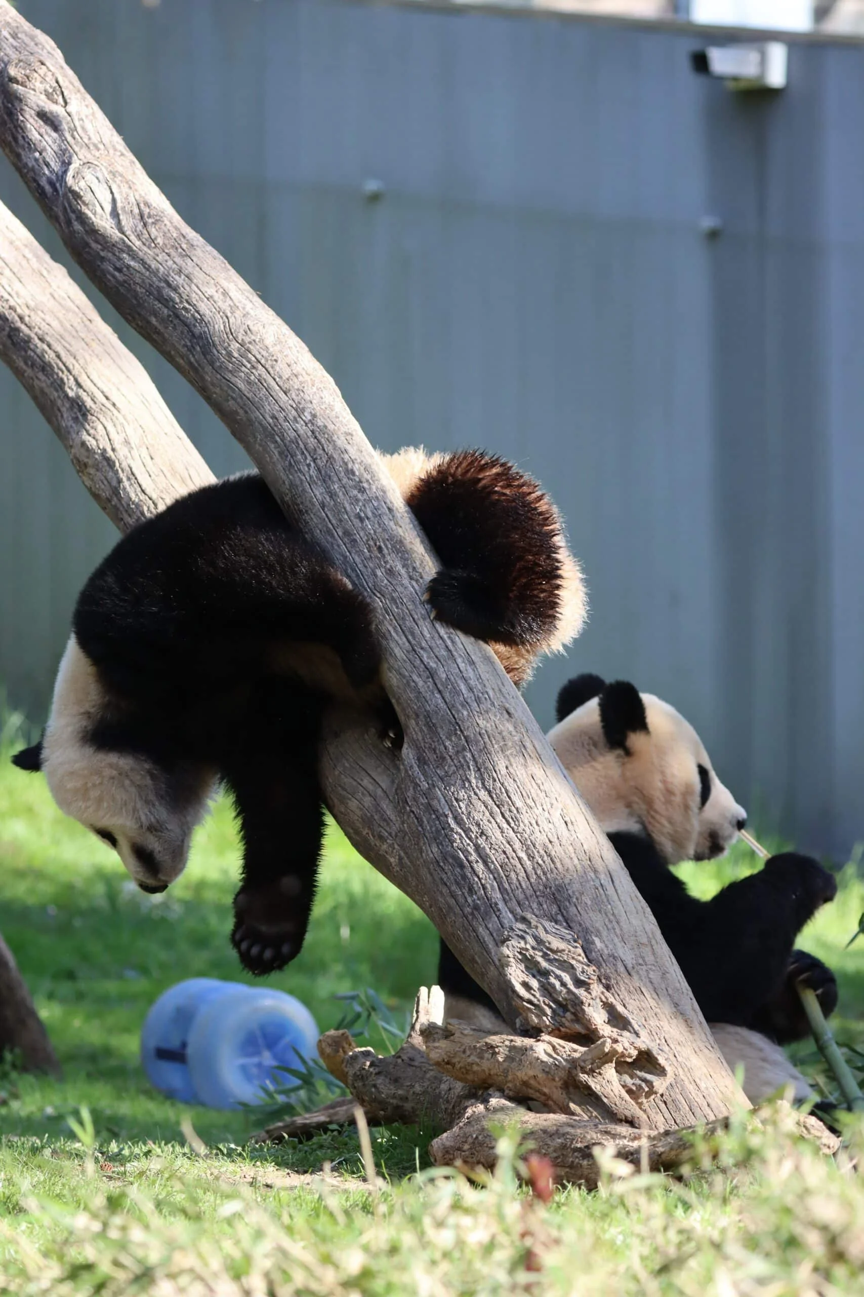 Smithsonian's National Zoo