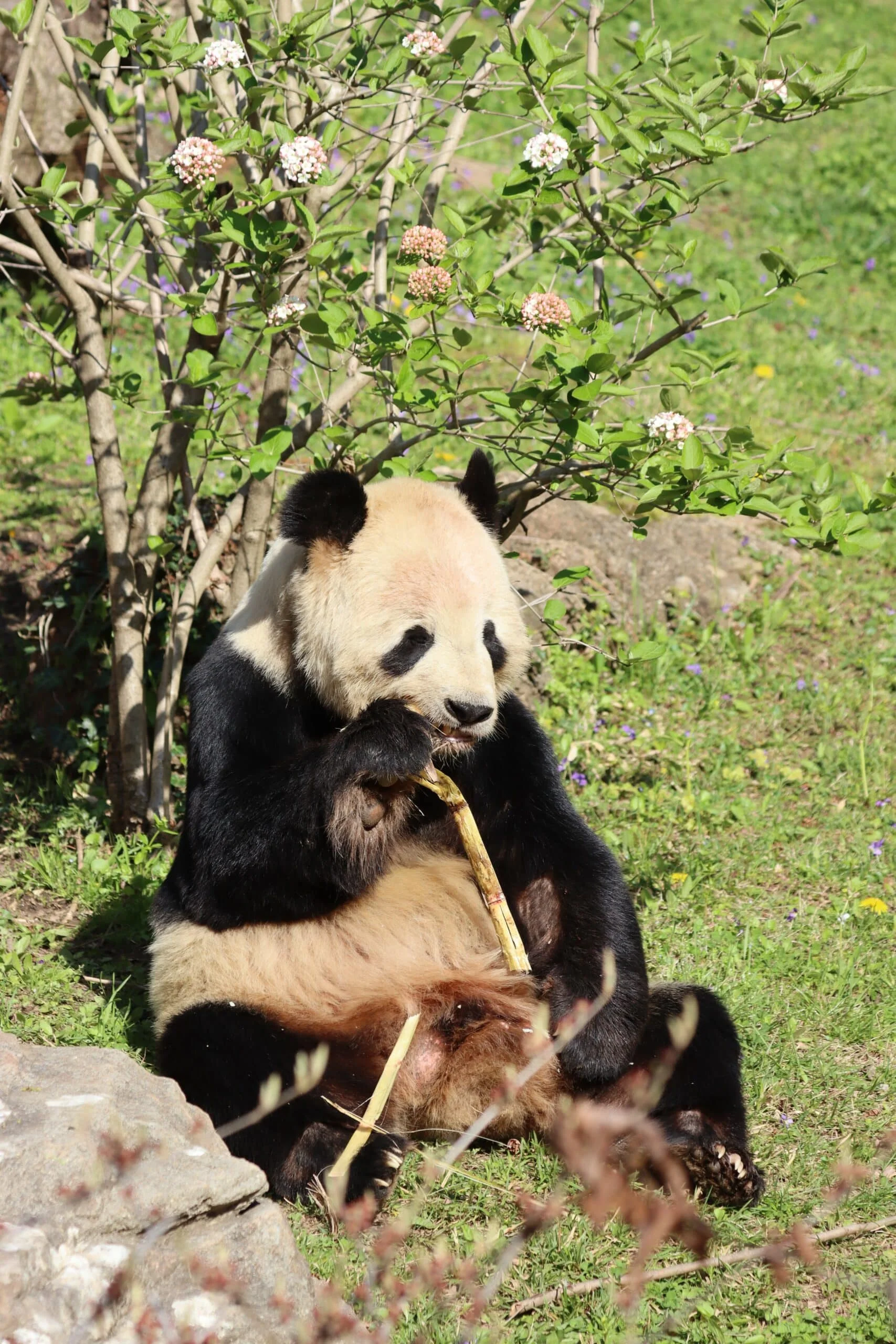 Smithsonian's National Zoo