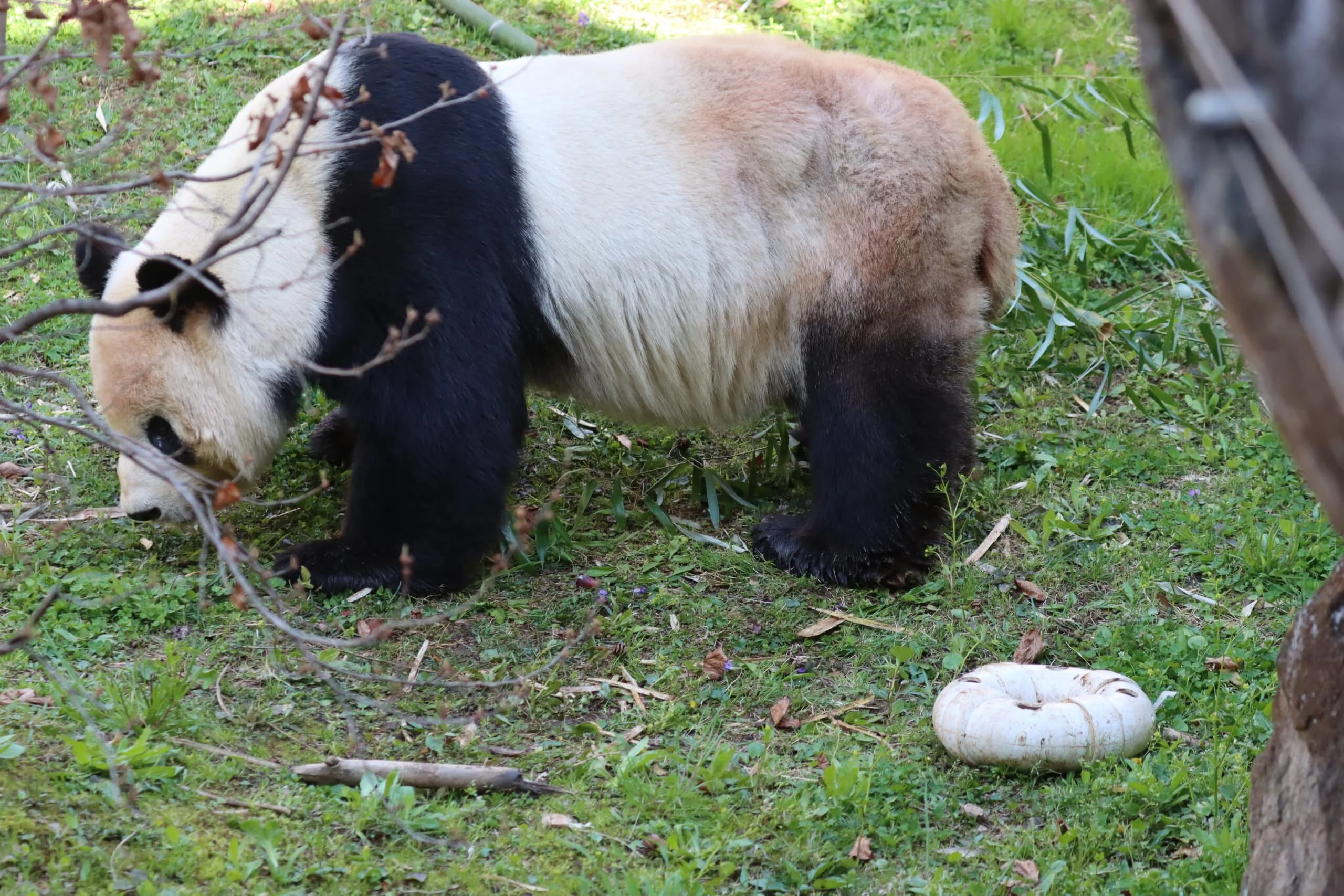 Smithsonian's National Zoo
