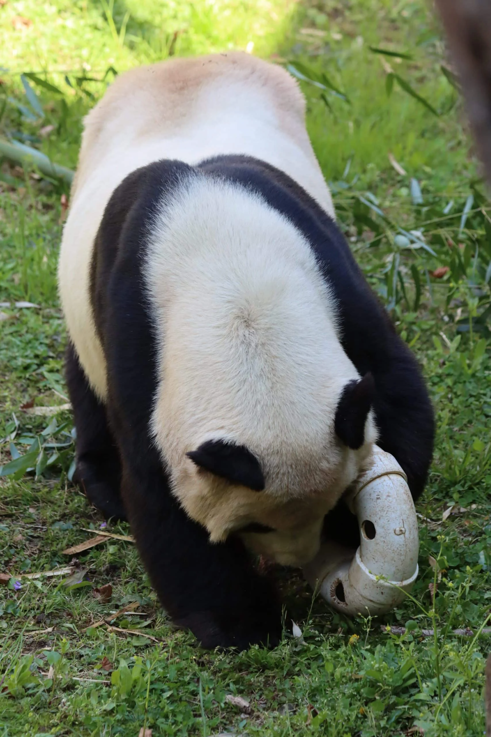Smithsonian's National Zoo