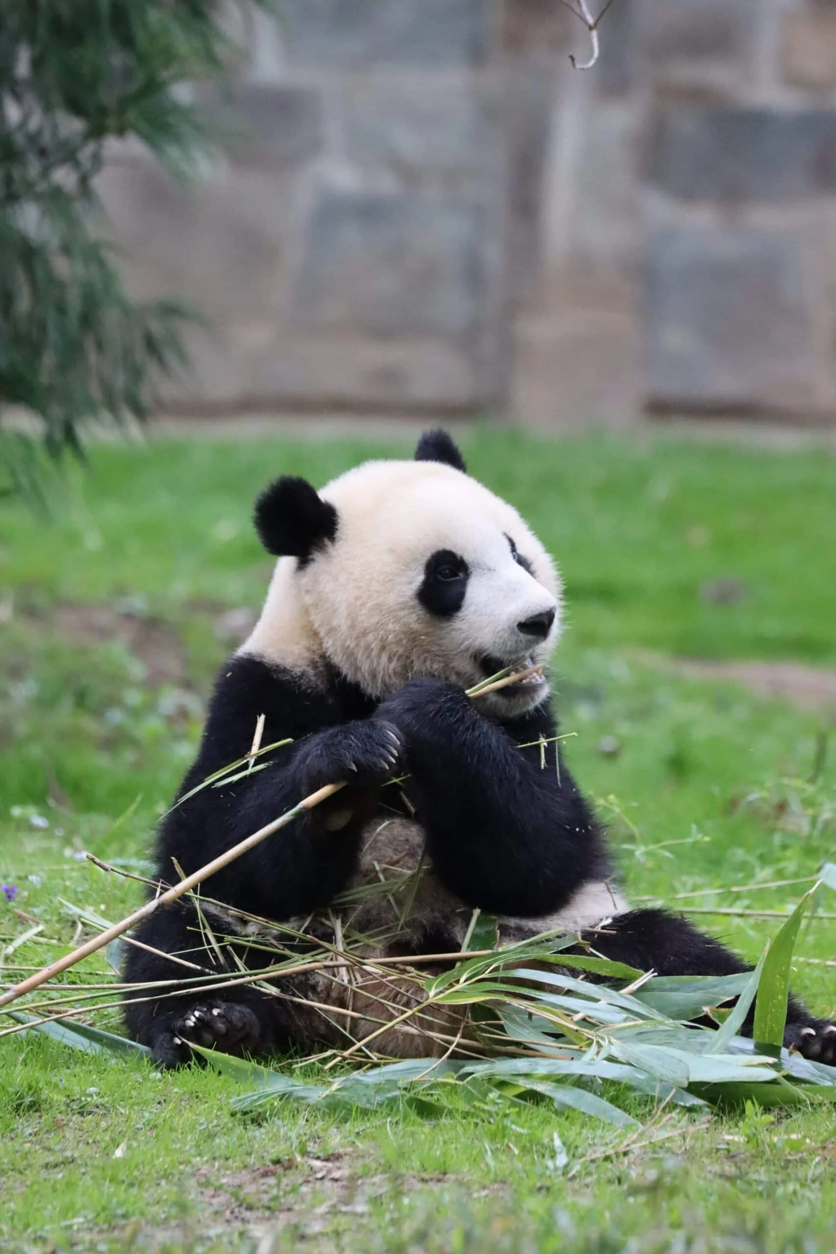 Smithsonian's National Zoo