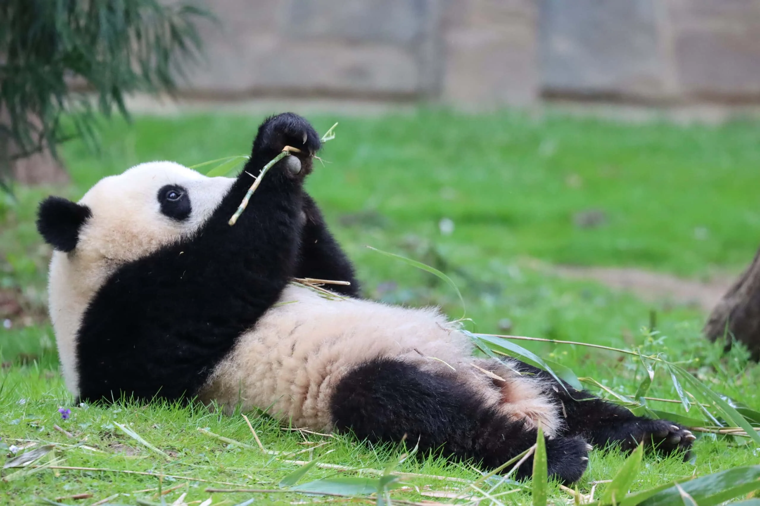 Smithsonian's National Zoo