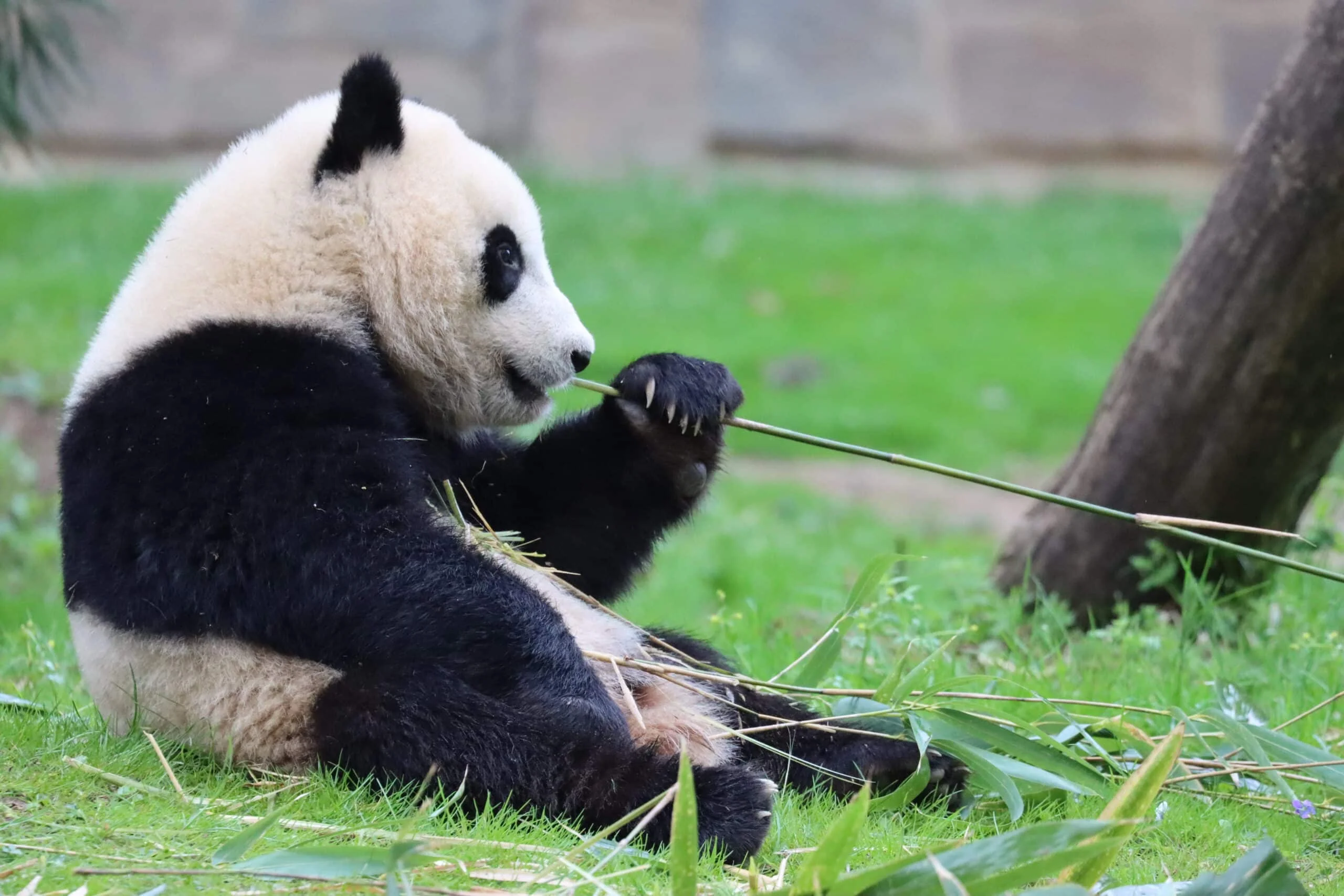 Smithsonian's National Zoo