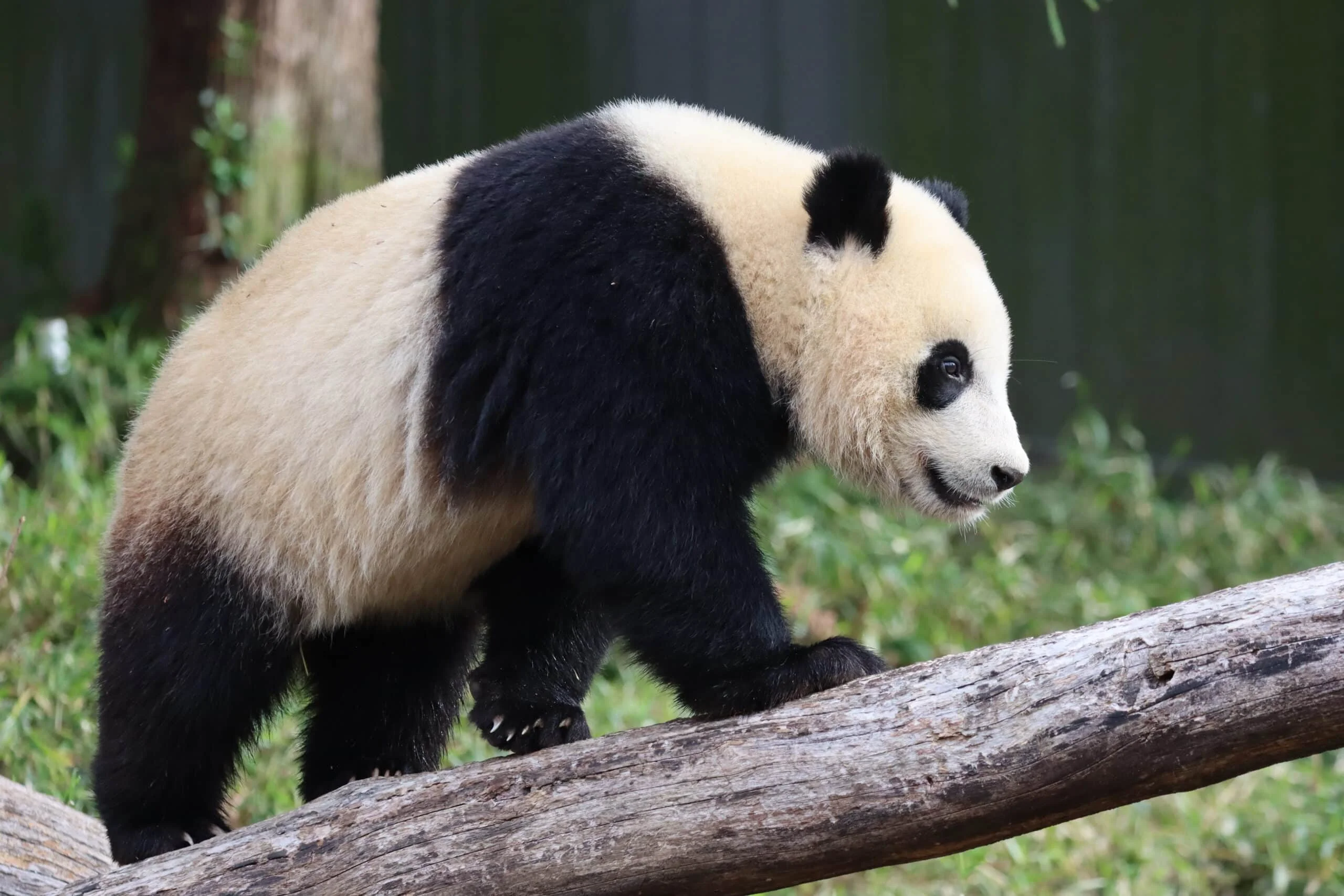 Smithsonian's National Zoo