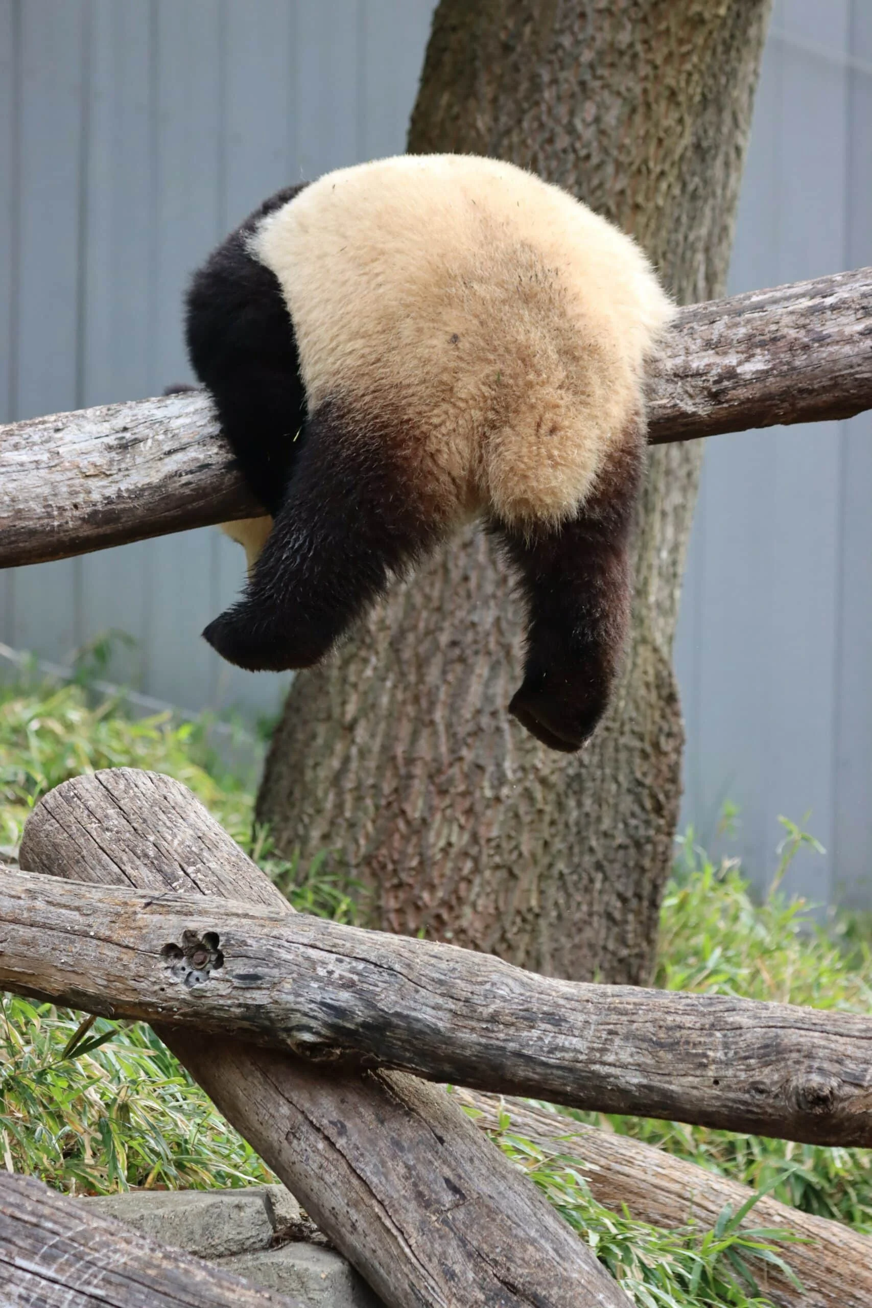 Smithsonian's National Zoo