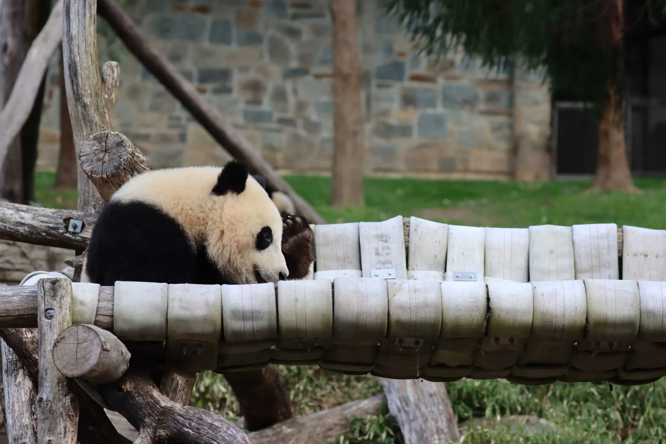 Smithsonian's National Zoo