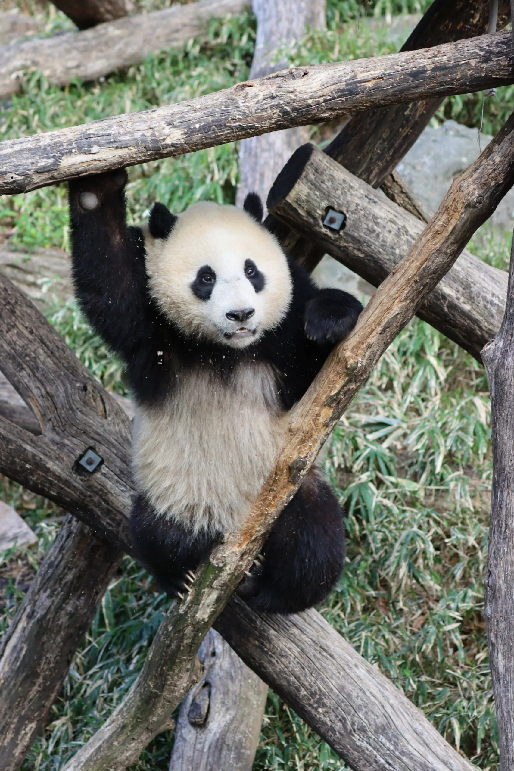 Smithsonian's National Zoo