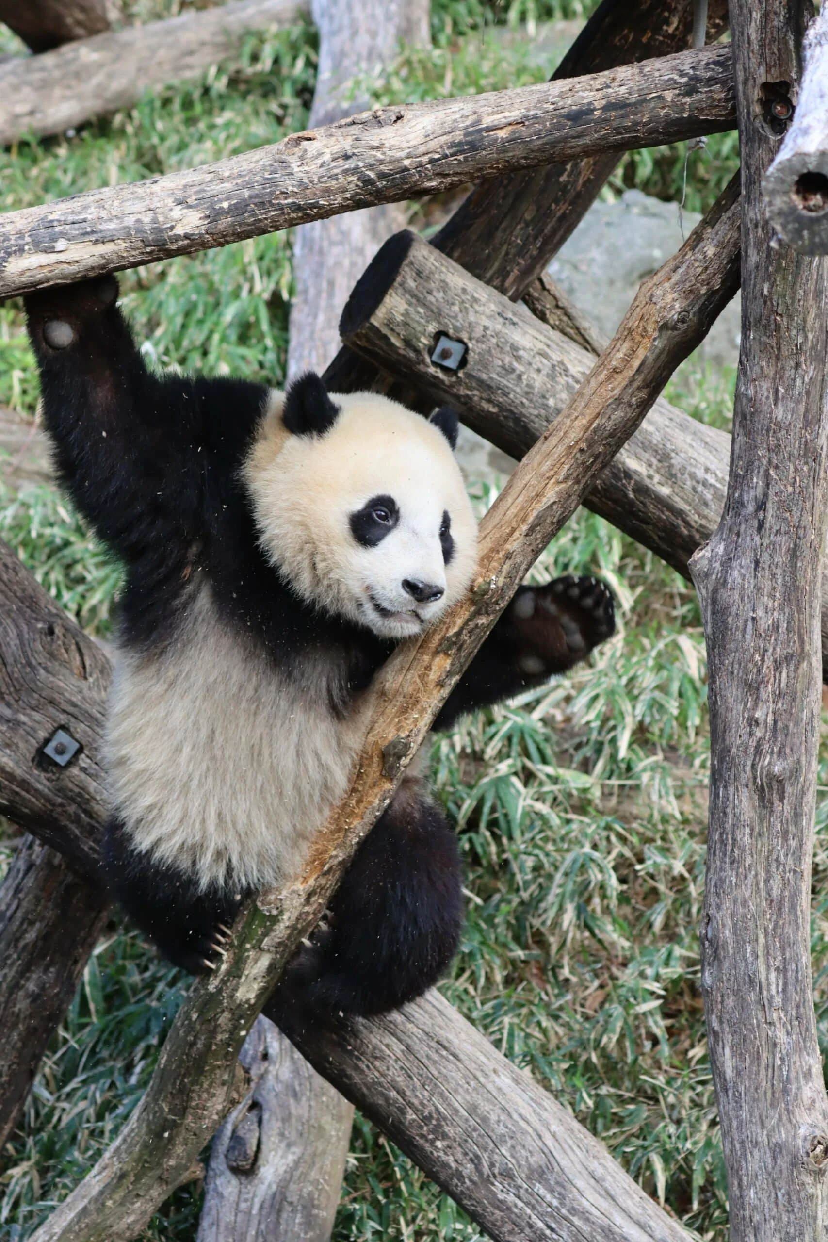 Smithsonian's National Zoo