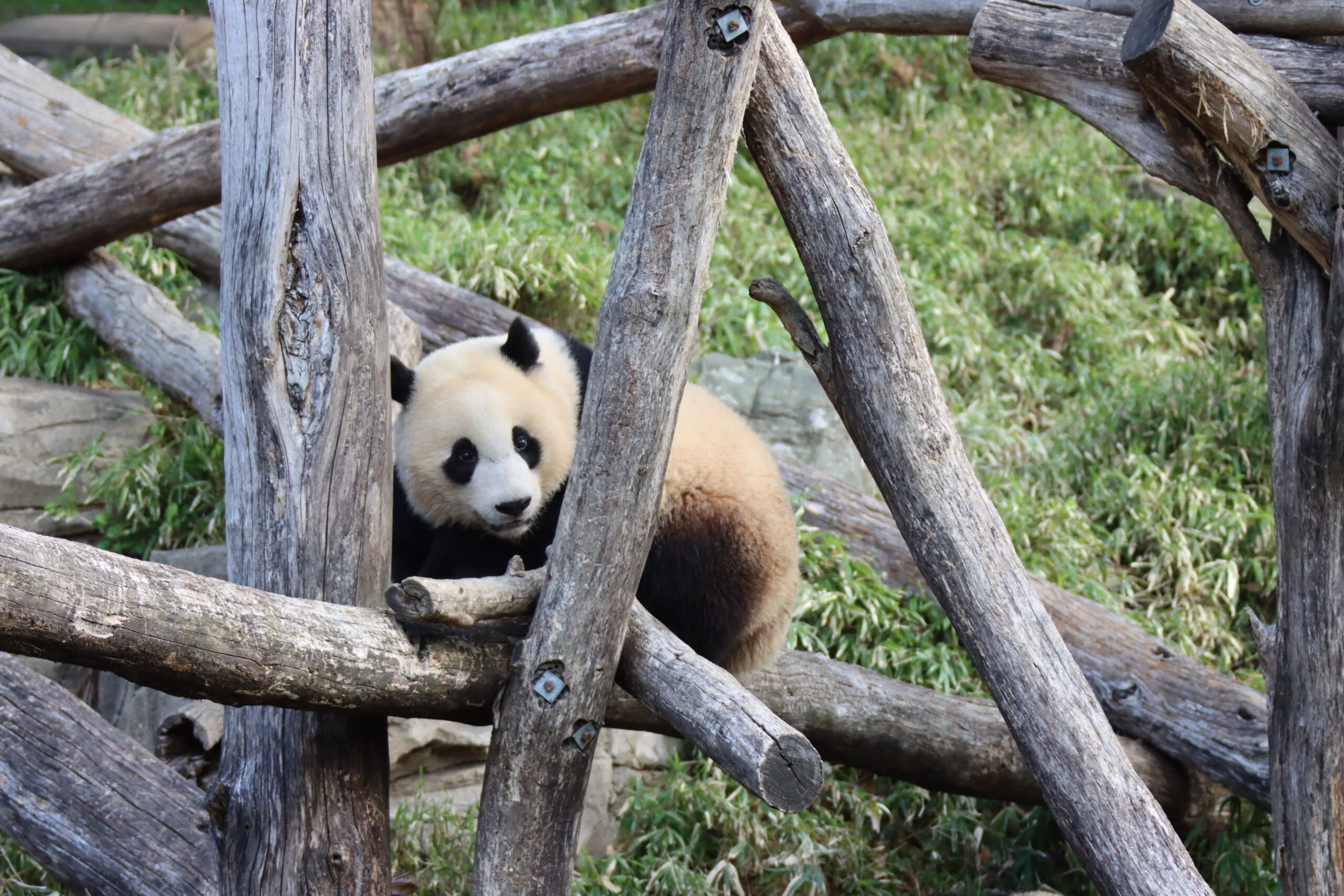 Smithsonian's National Zoo