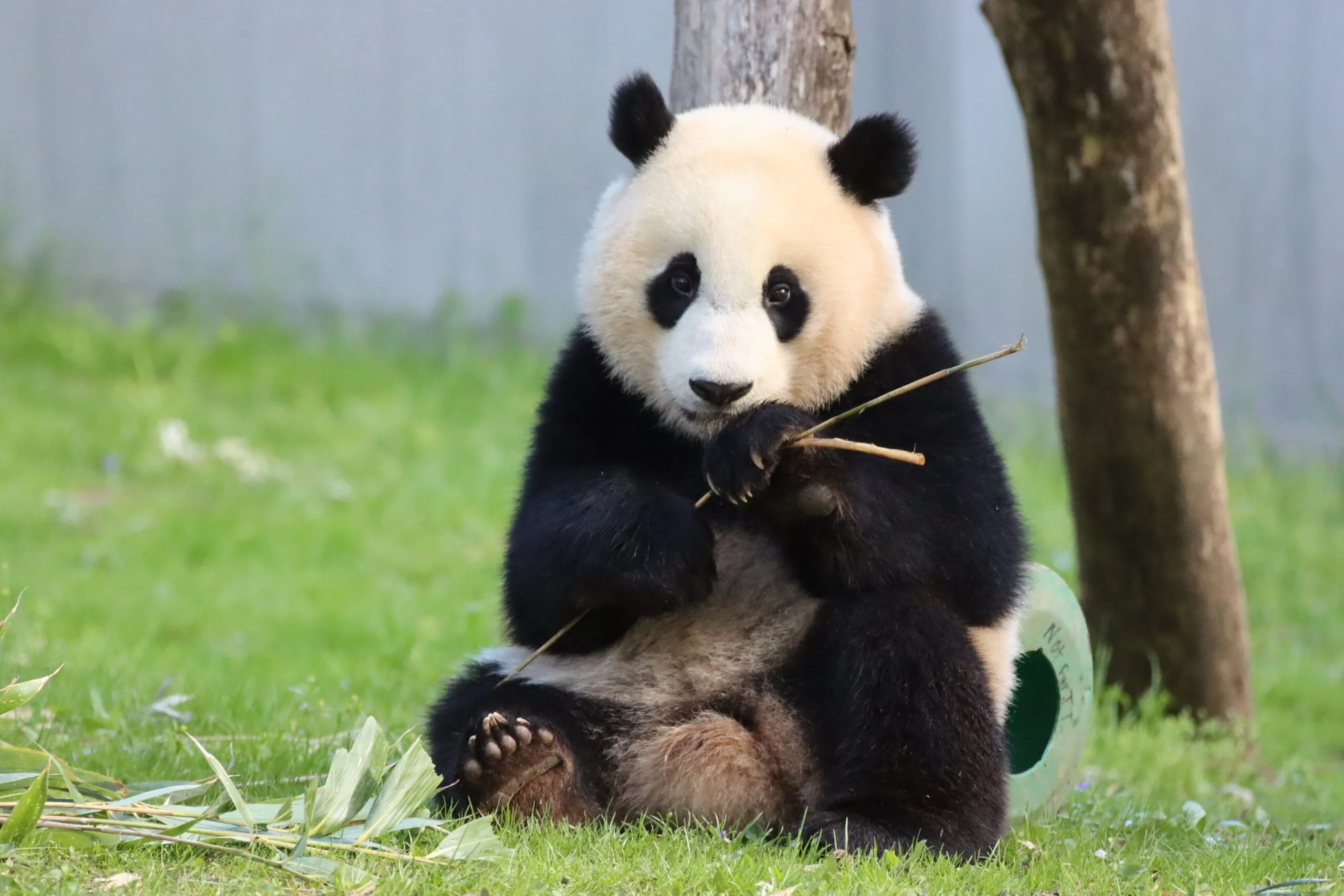 Smithsonian's National Zoo