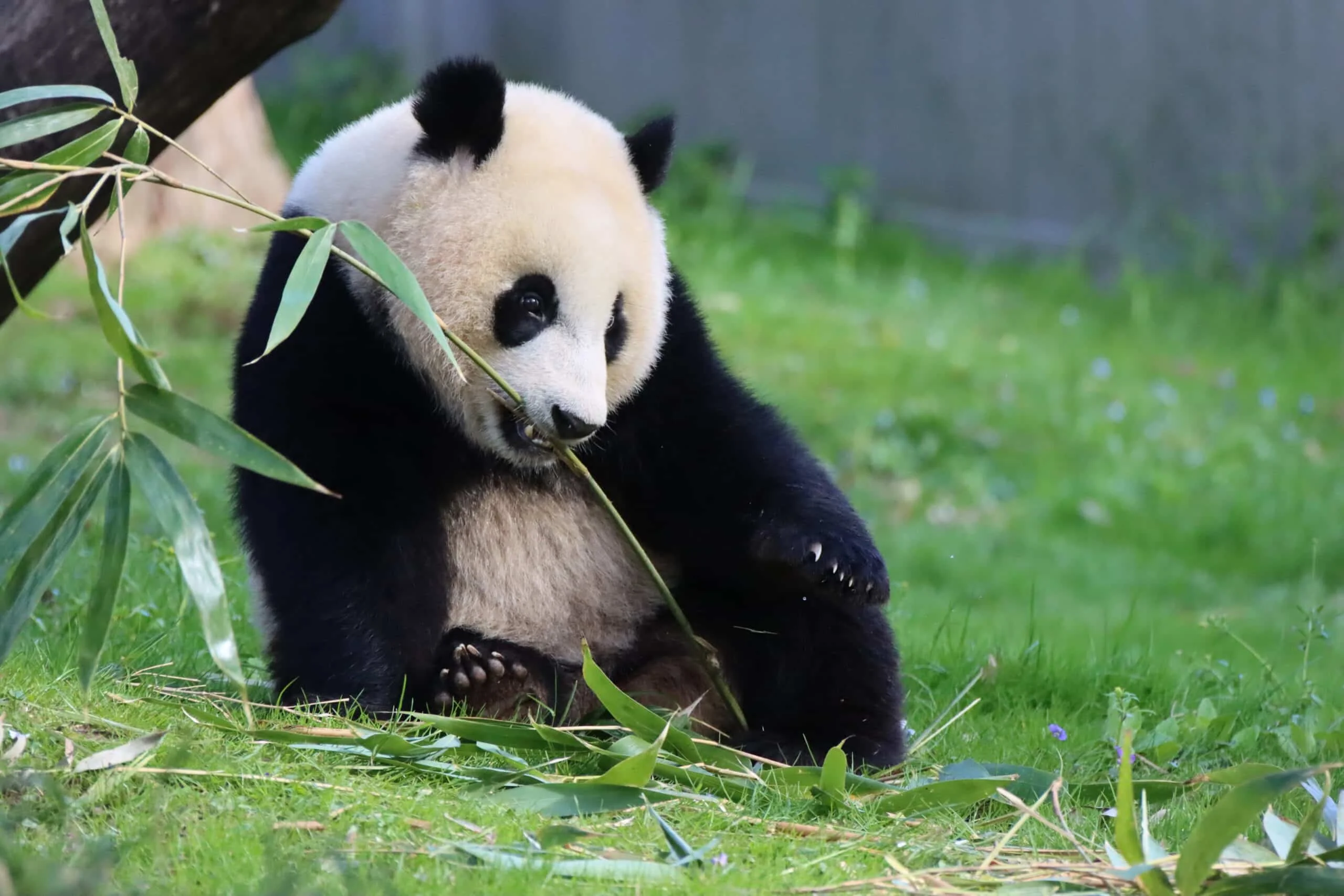 Smithsonian's National Zoo