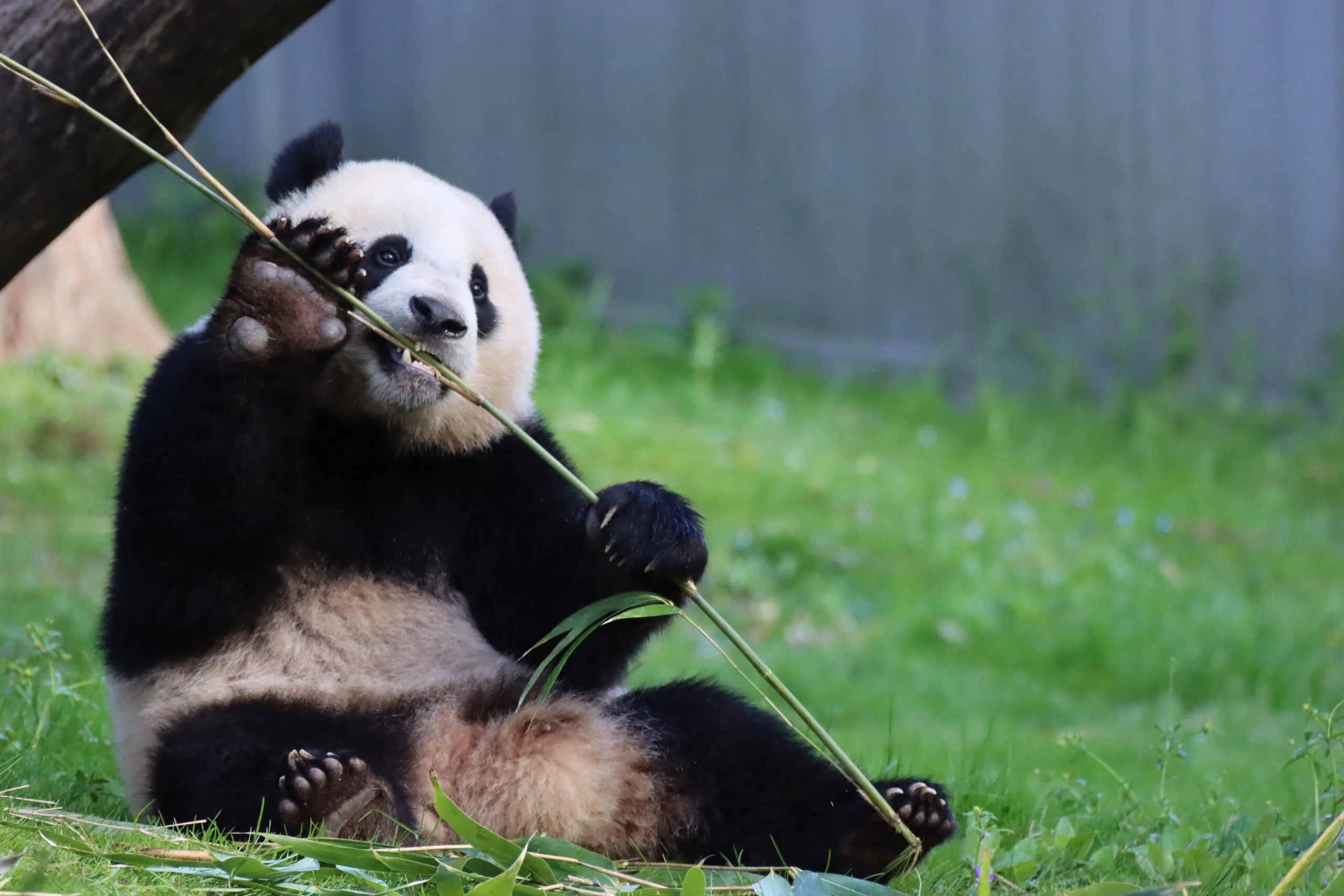 Smithsonian's National Zoo