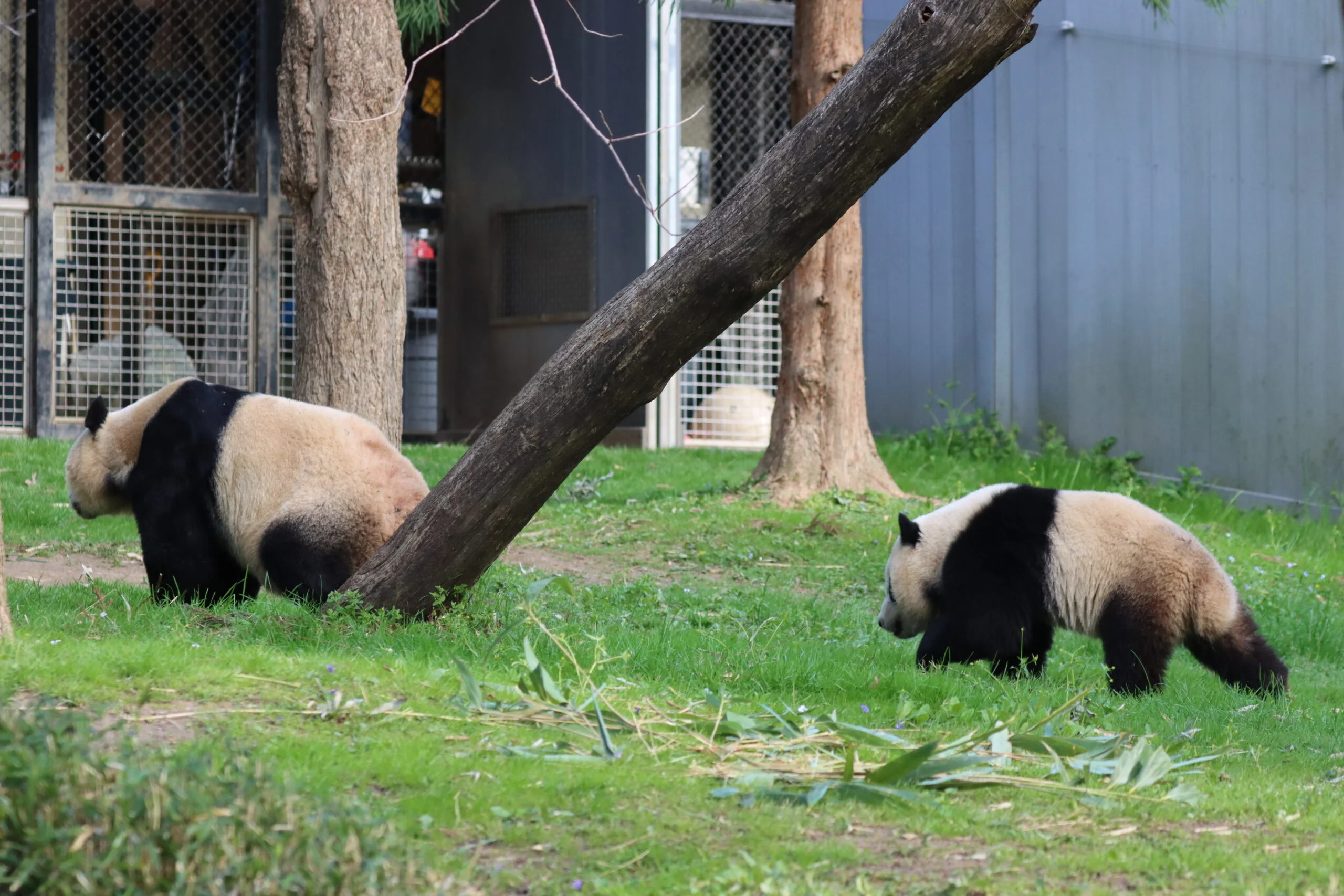 Smithsonian's National Zoo