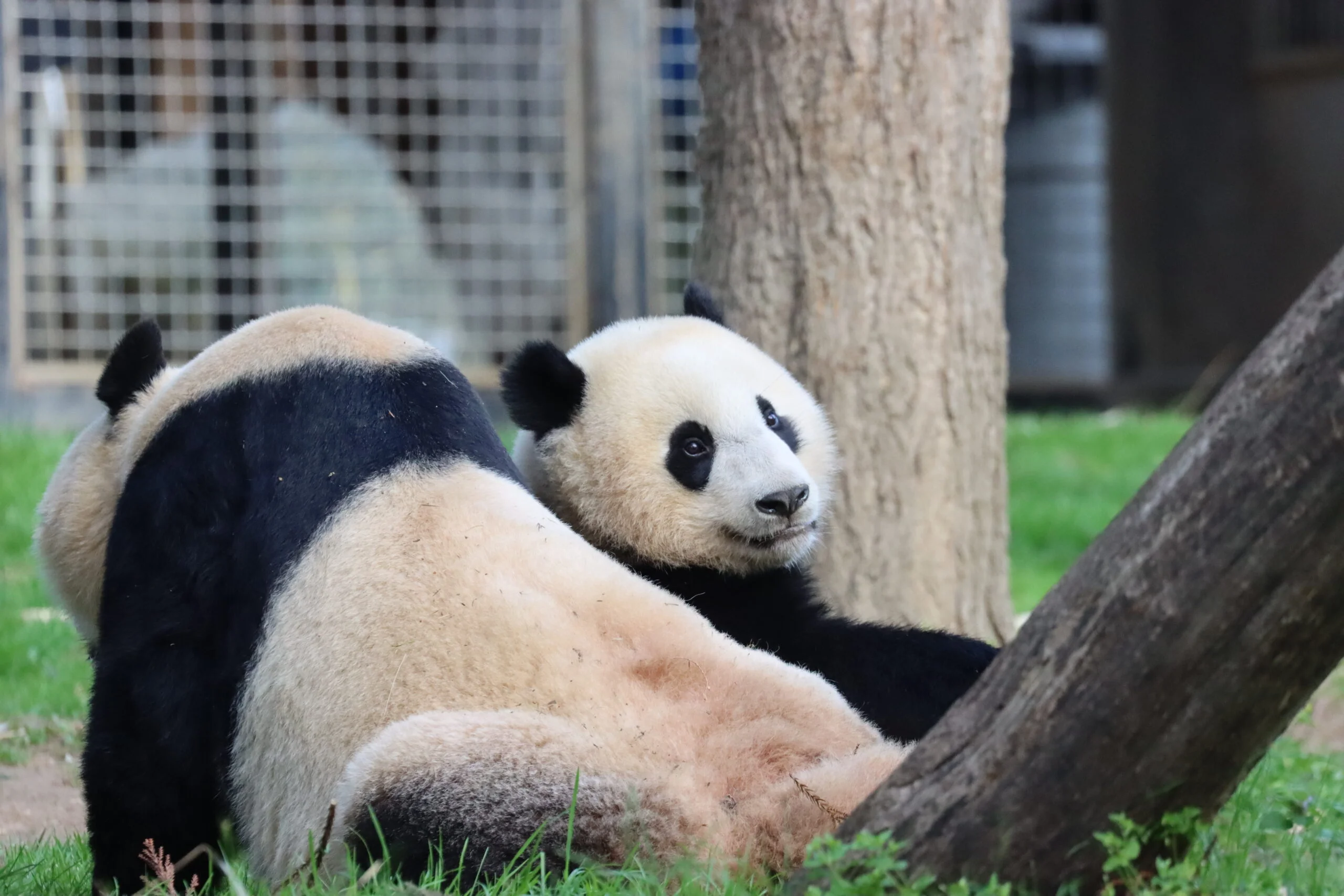 Smithsonian's National Zoo