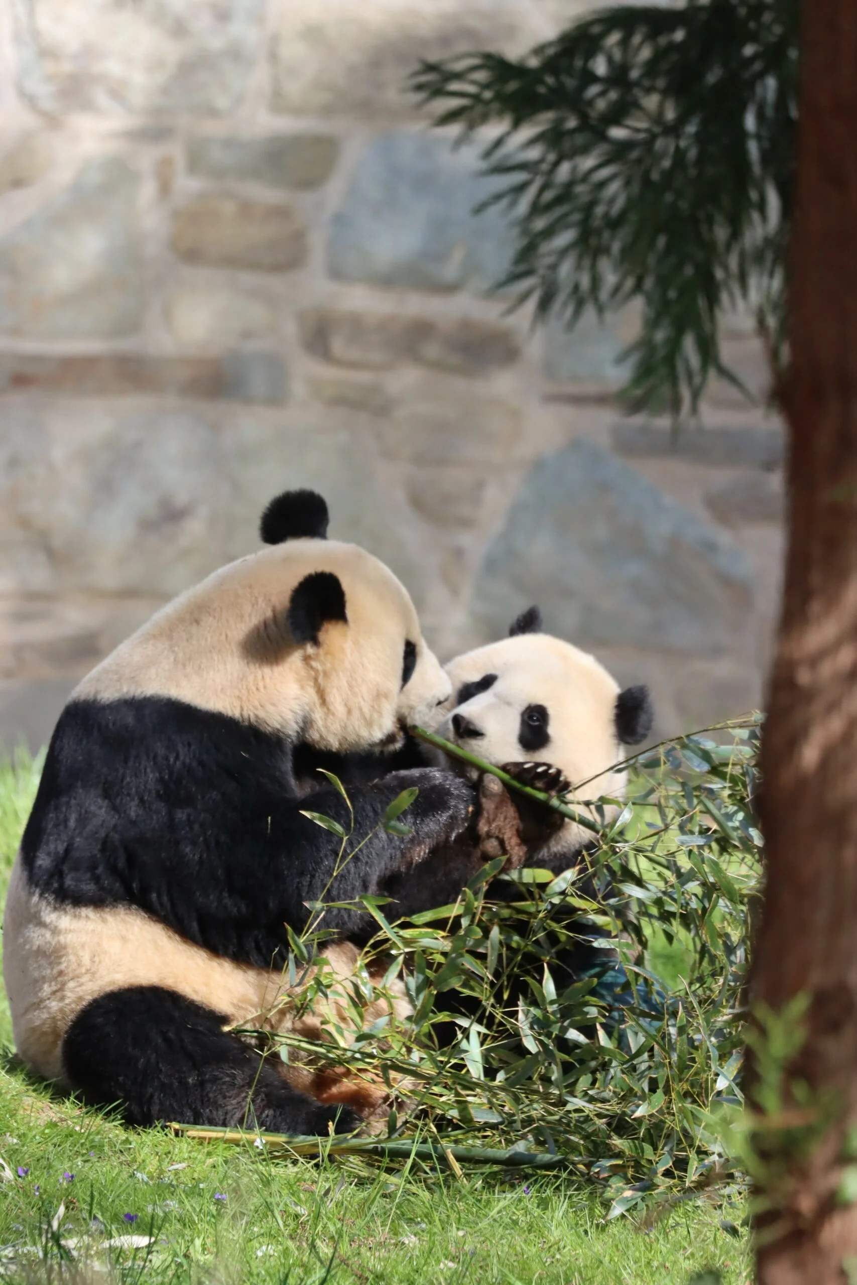 Smithsonian's National Zoo