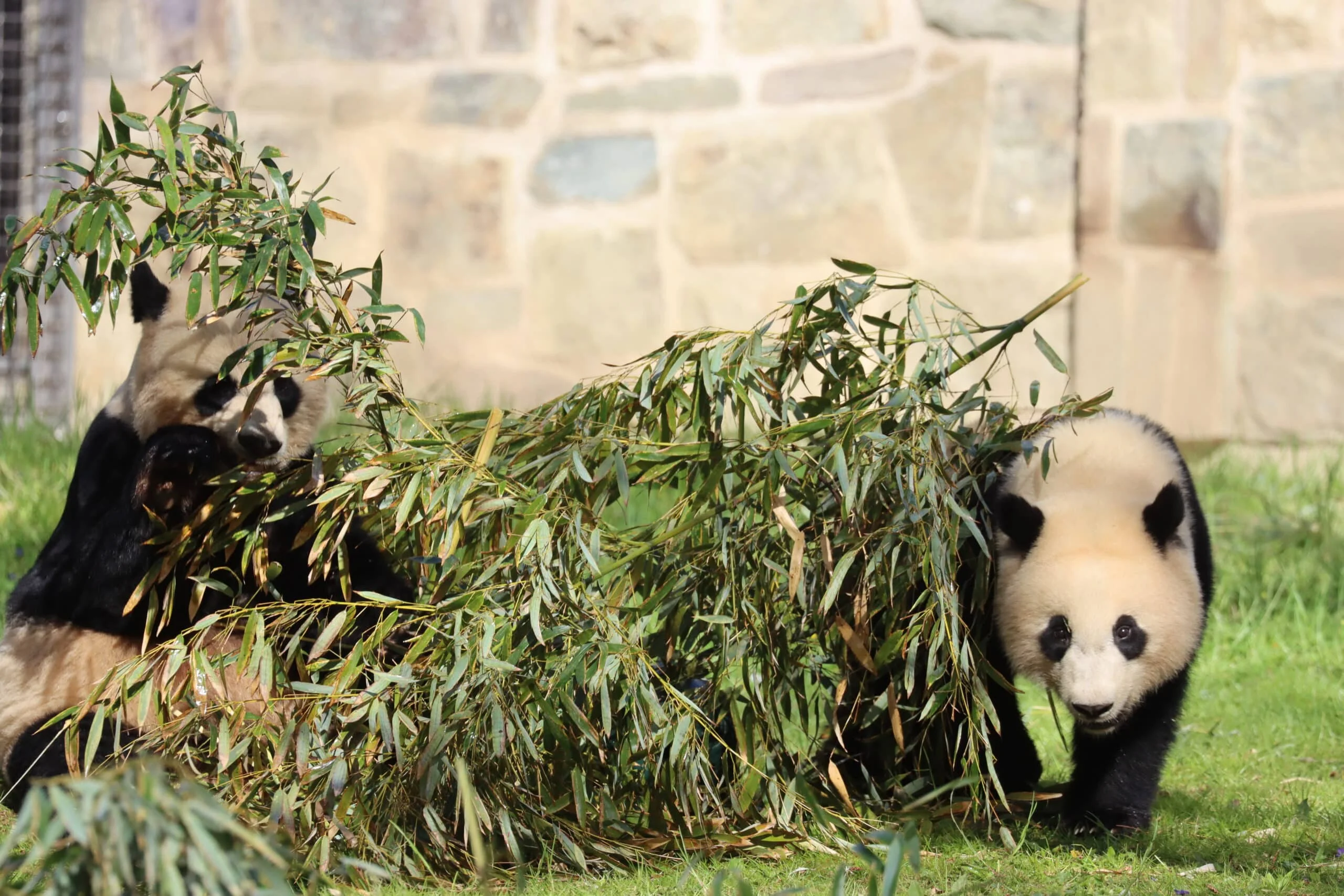 Smithsonian's National Zoo