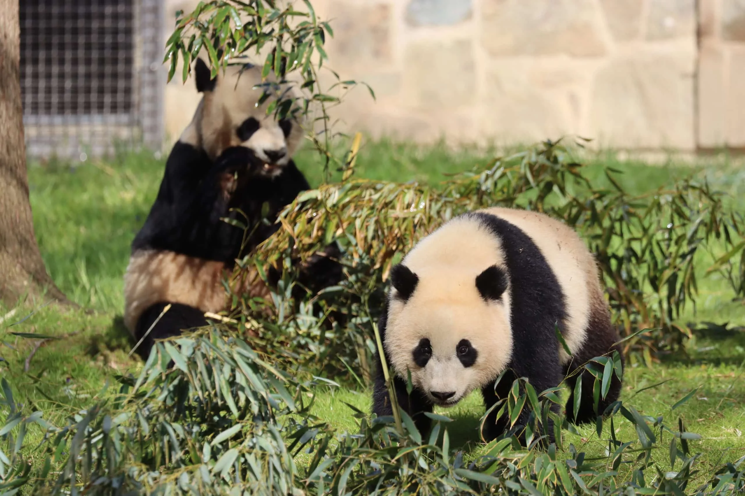 Smithsonian's National Zoo