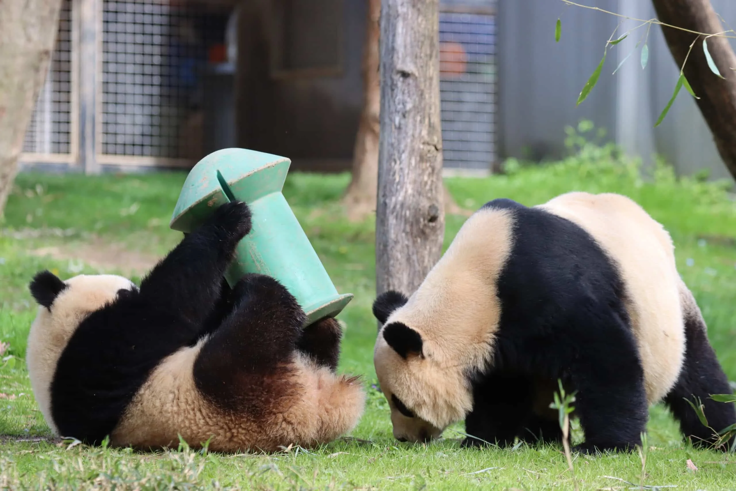 Smithsonian's National Zoo