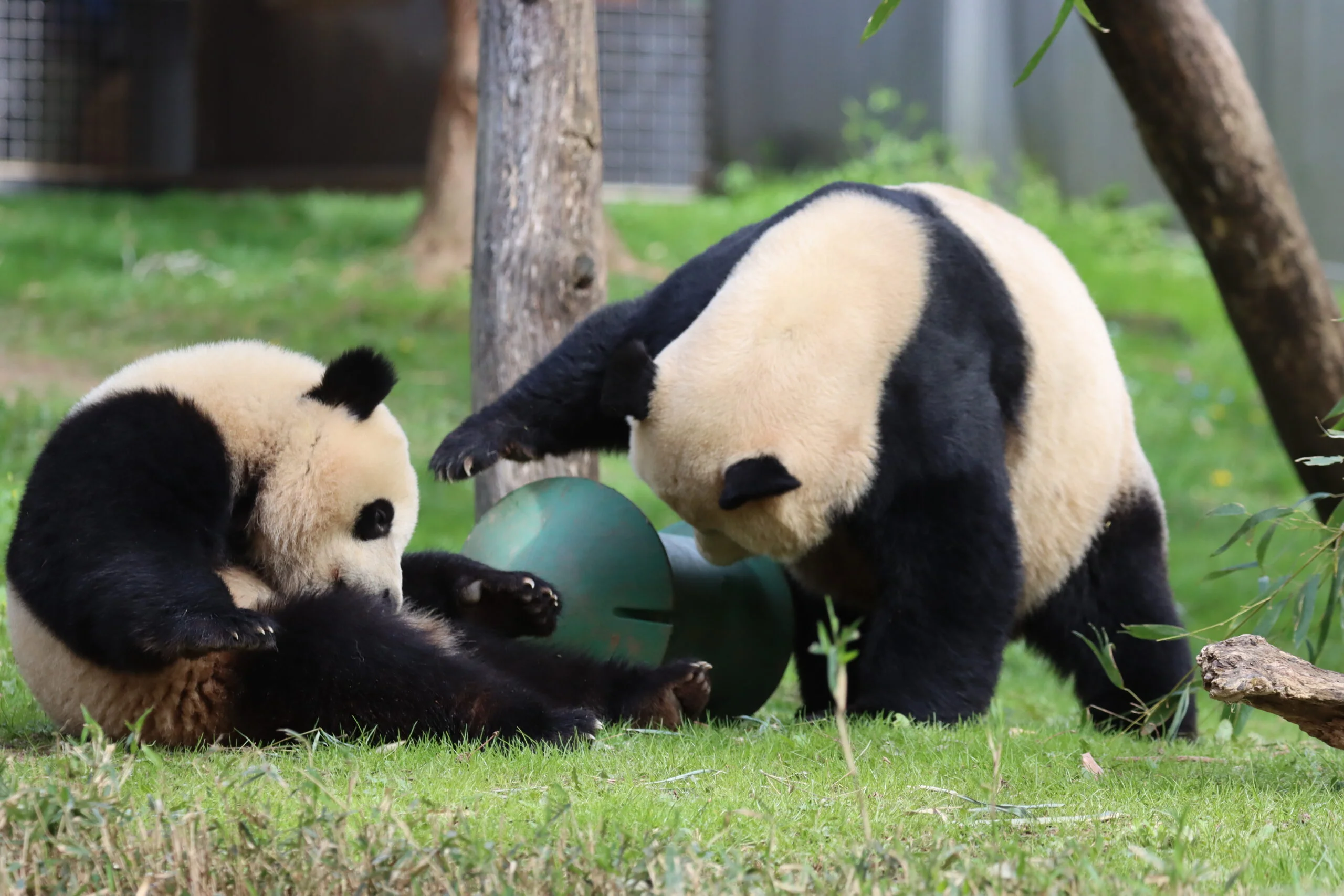 Smithsonian's National Zoo