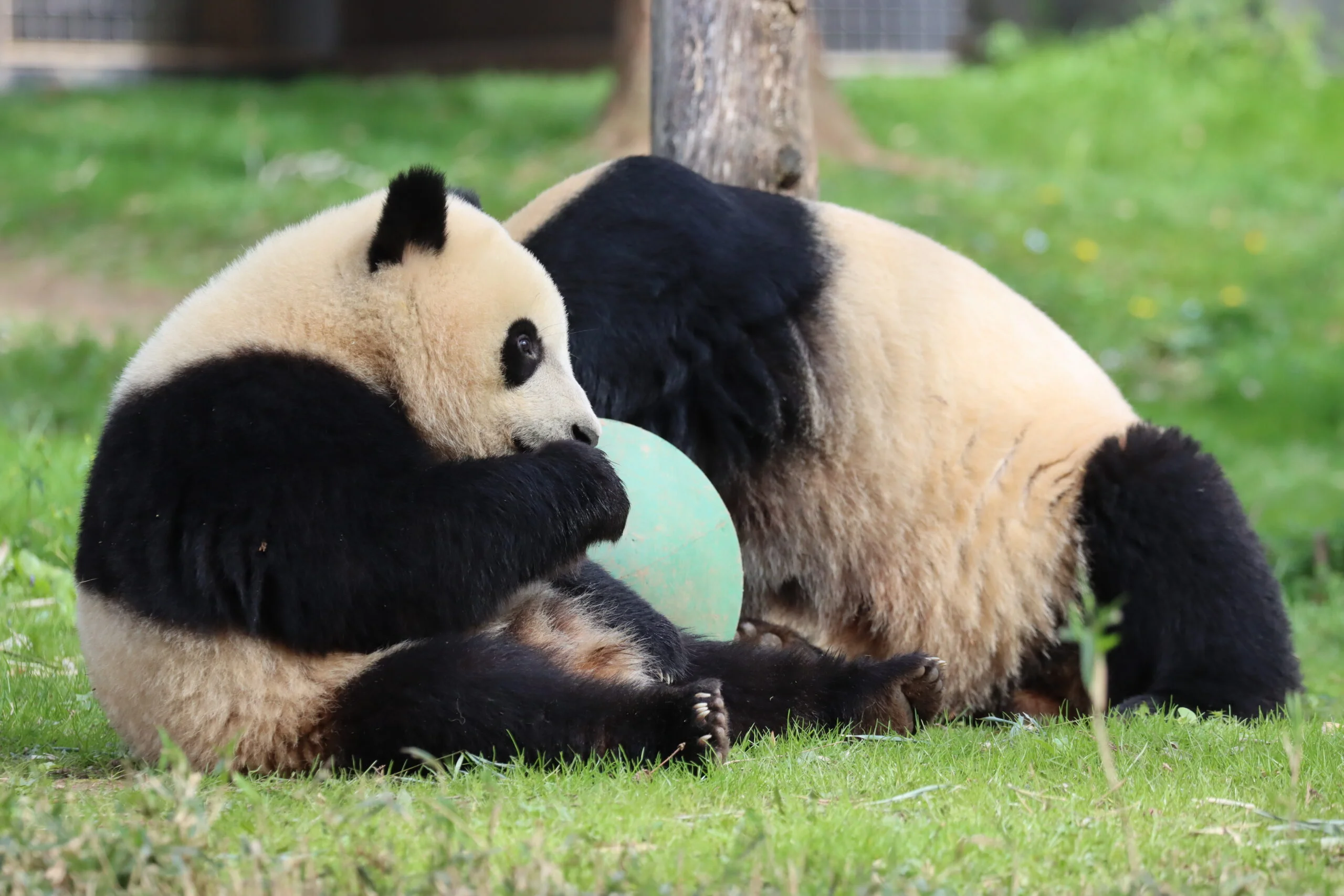 Smithsonian's National Zoo
