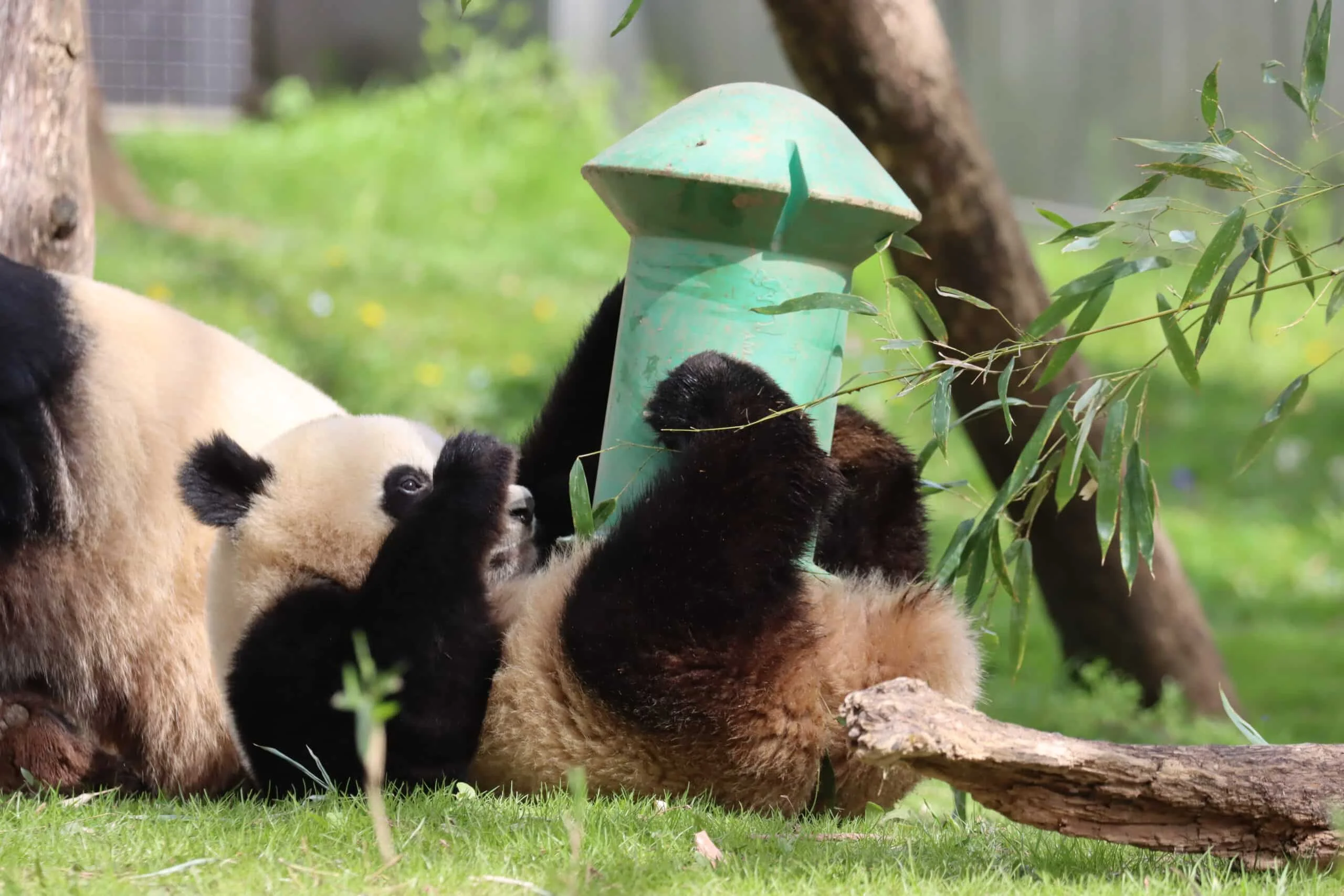 Smithsonian's National Zoo