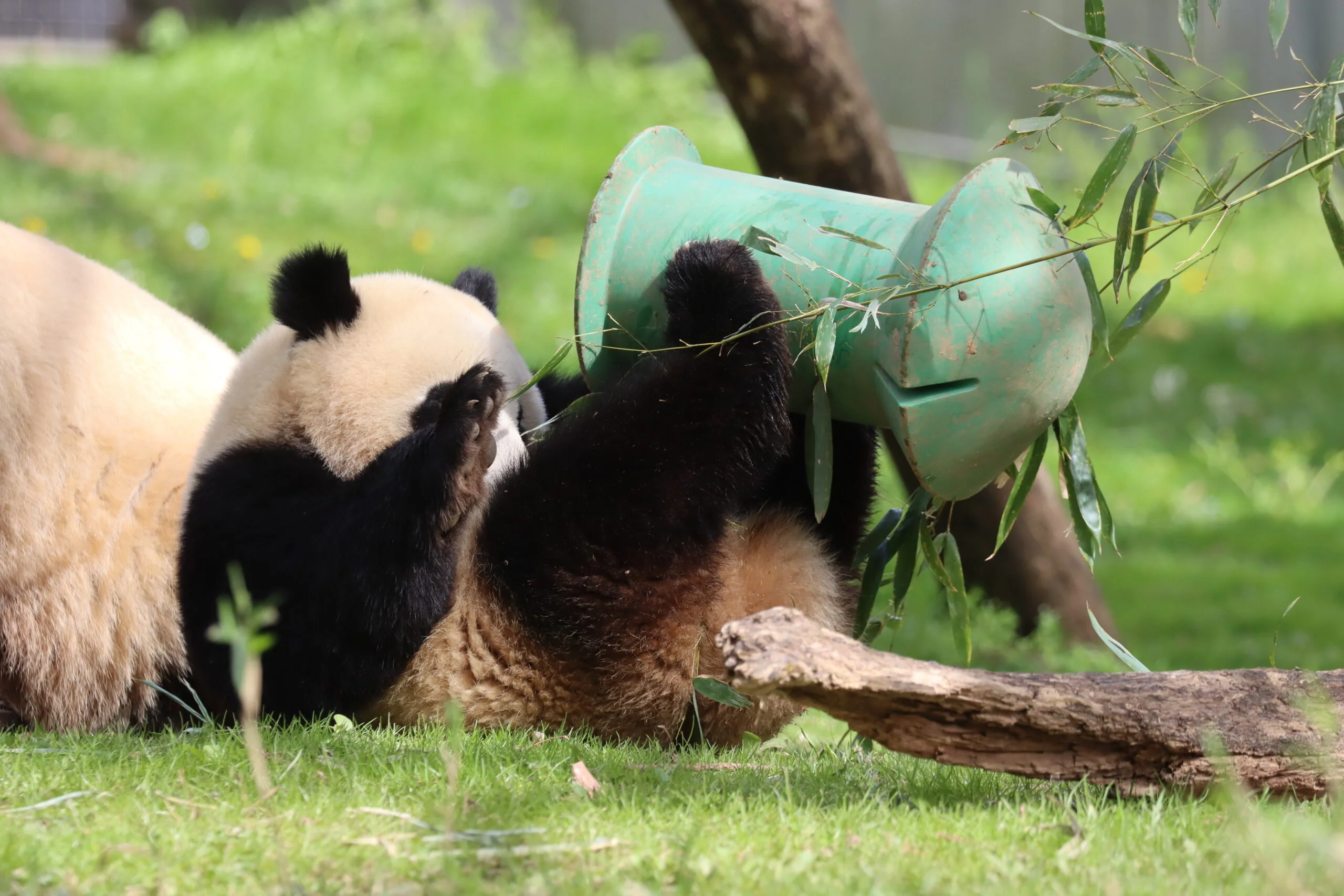 Smithsonian's National Zoo