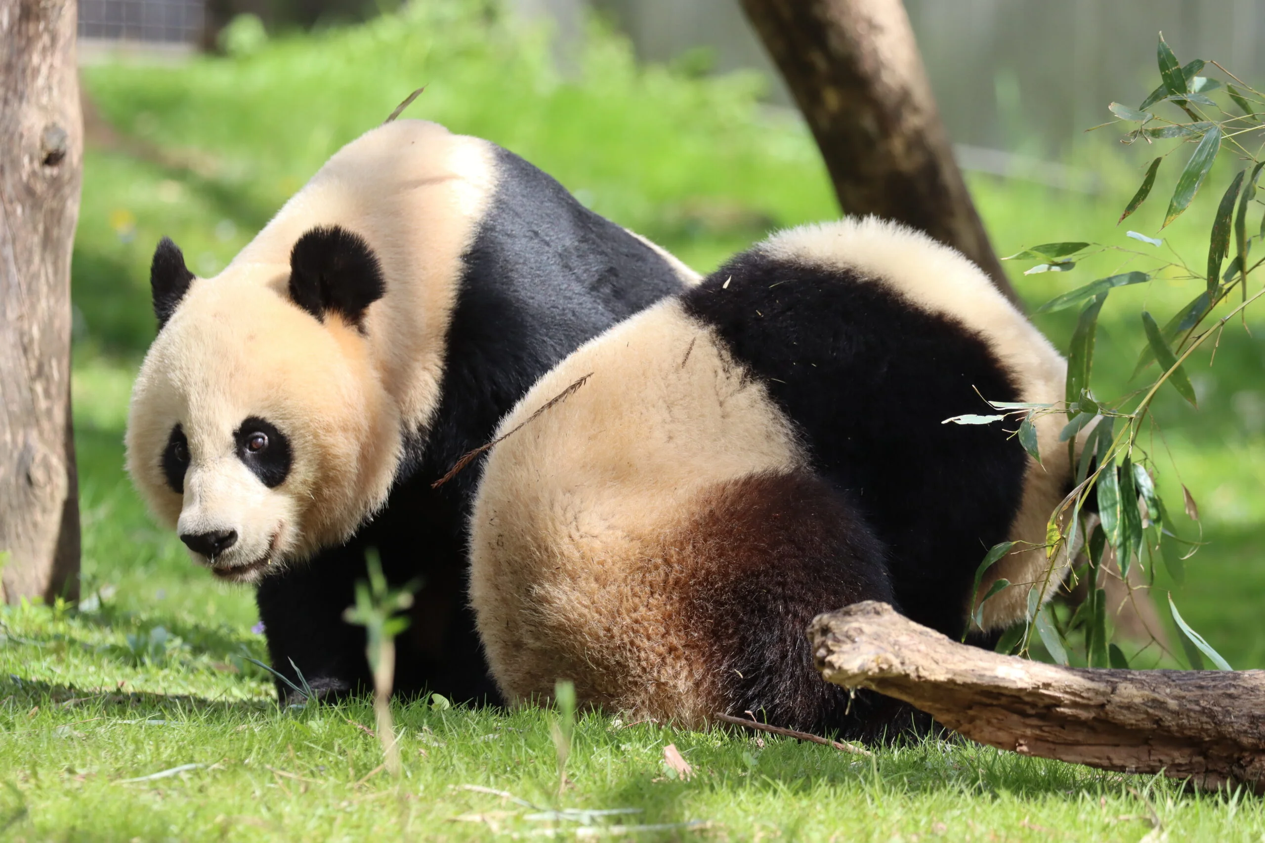 Smithsonian's National Zoo