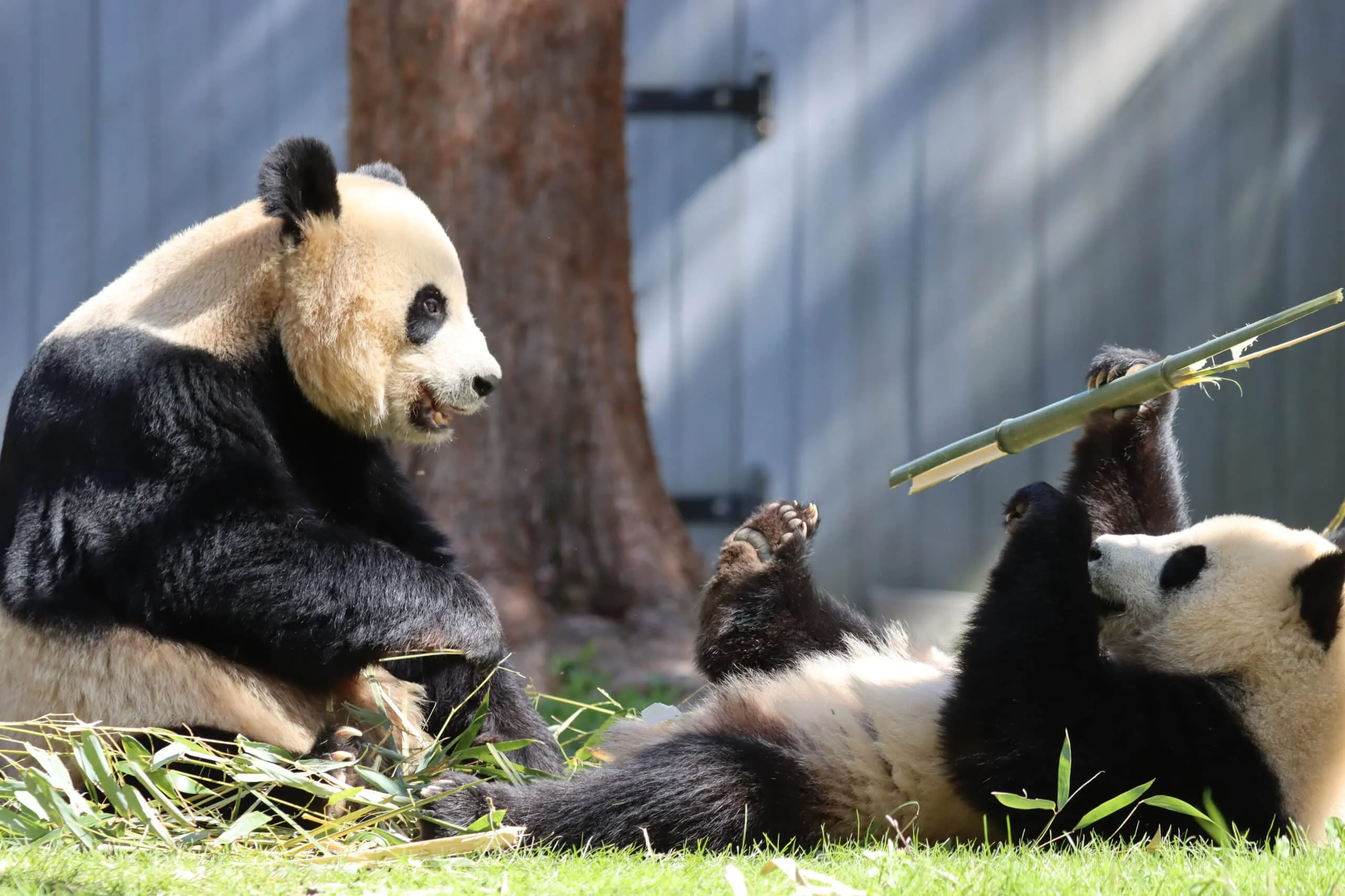 Smithsonian's National Zoo