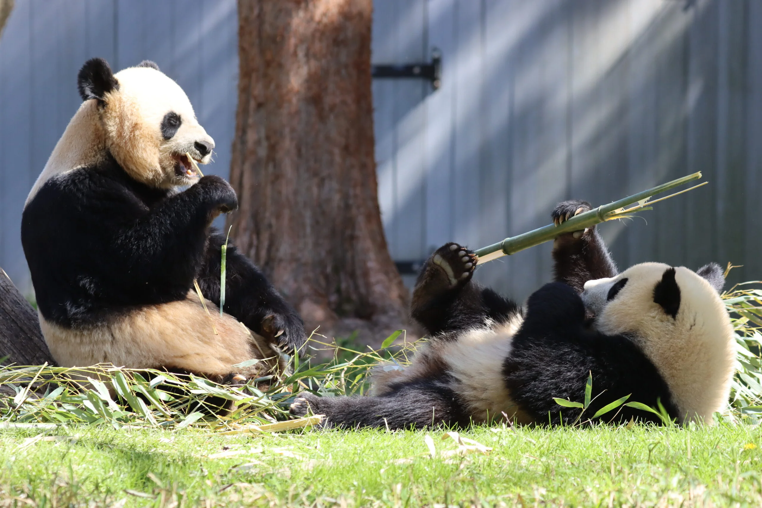 Smithsonian's National Zoo