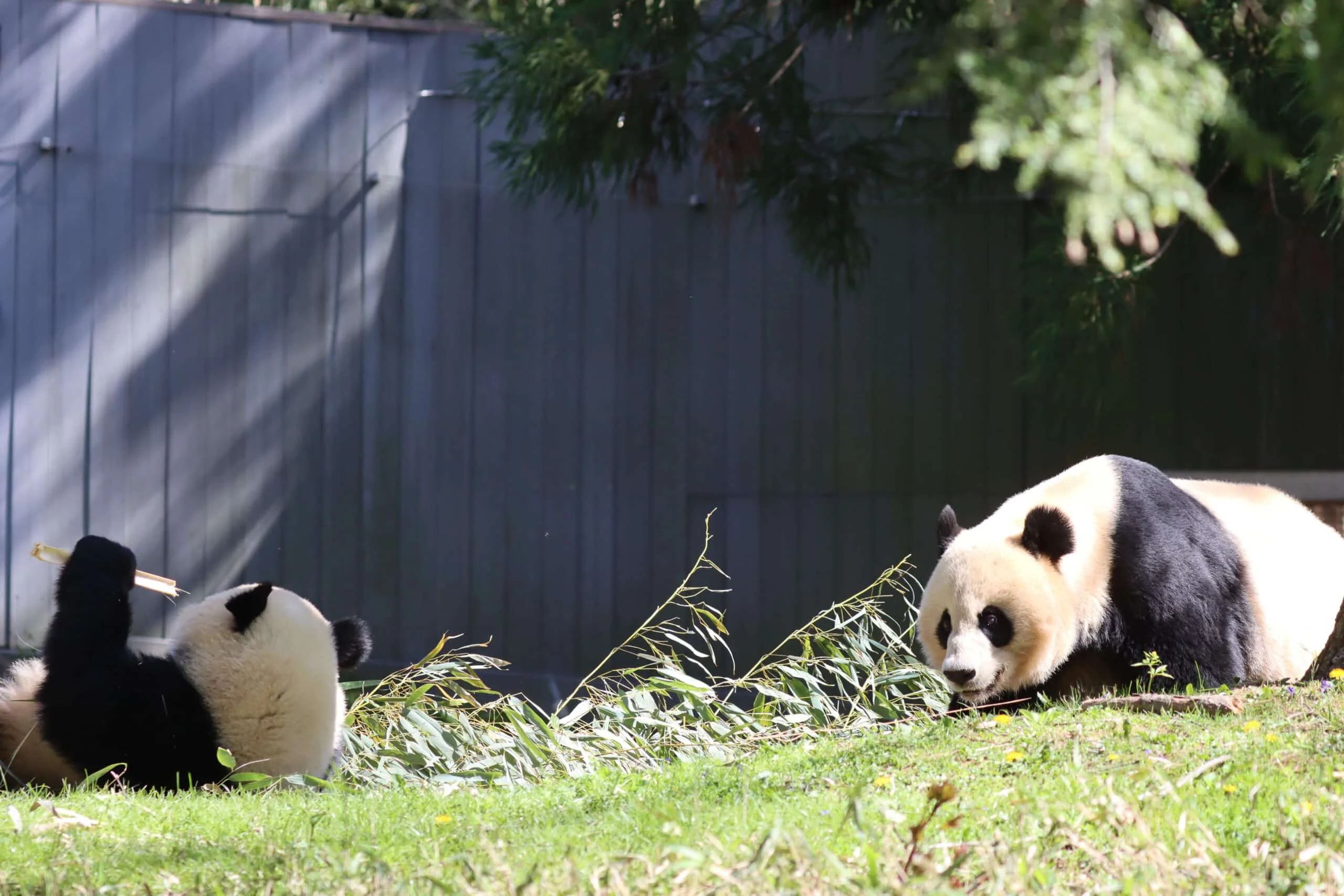 Smithsonian's National Zoo