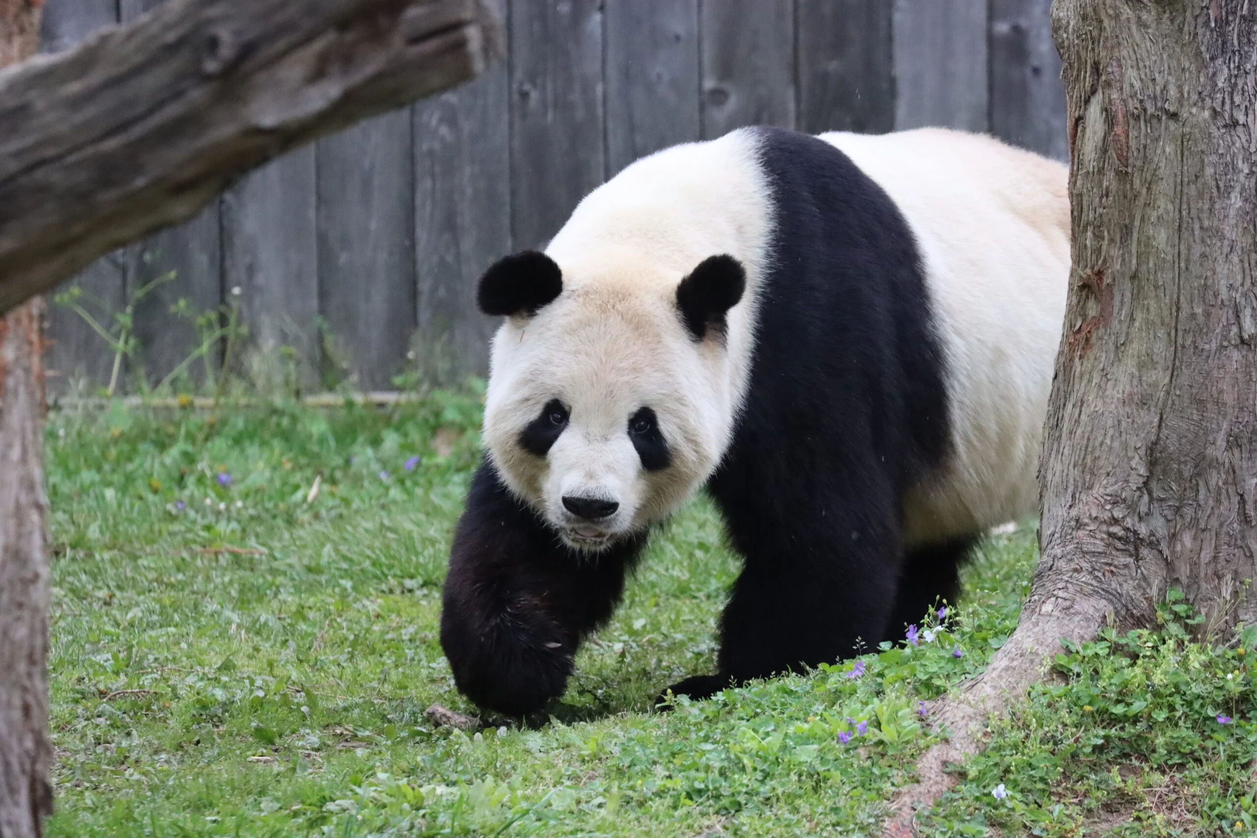 Smithsonian's National Zoo