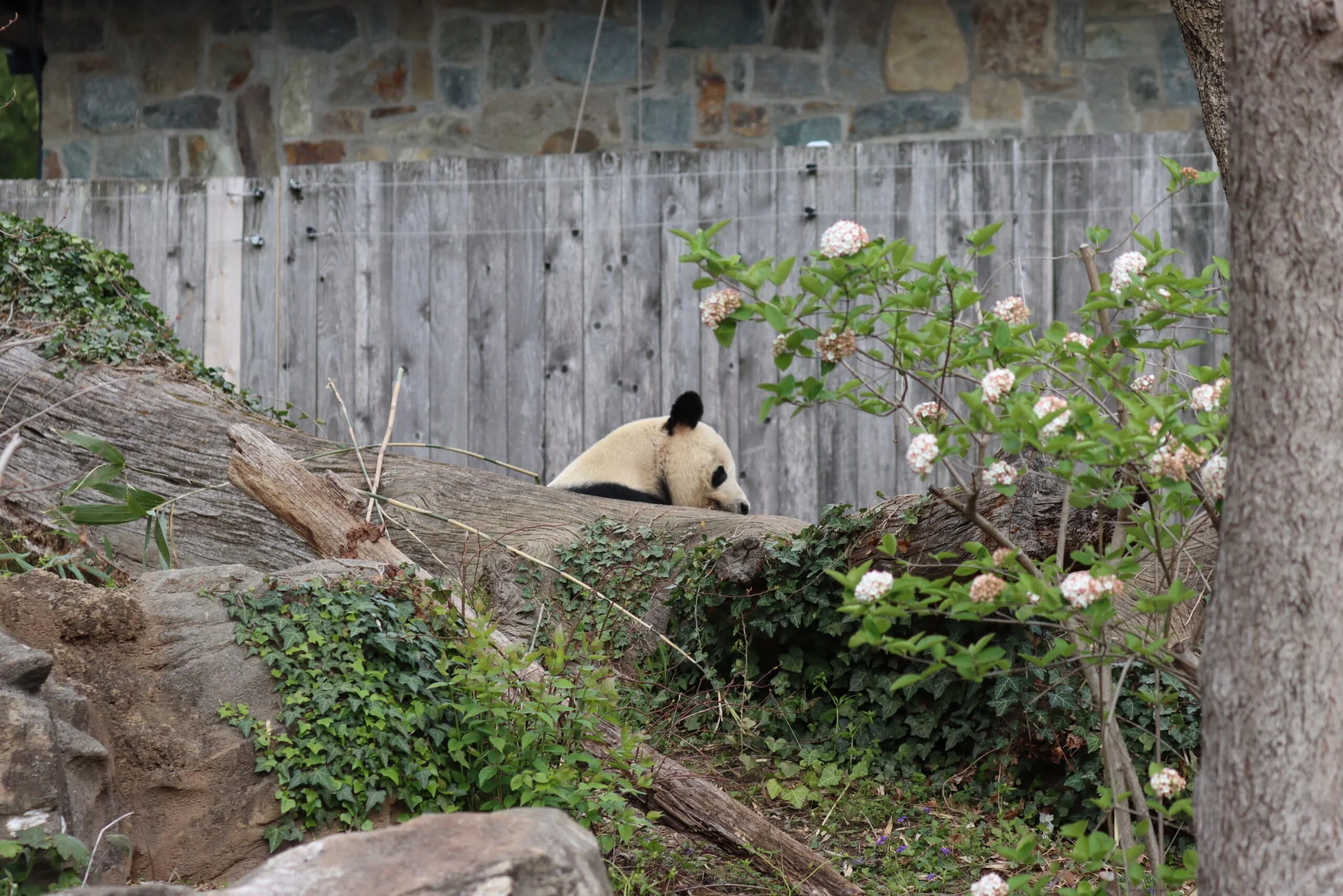 Smithsonian's National Zoo