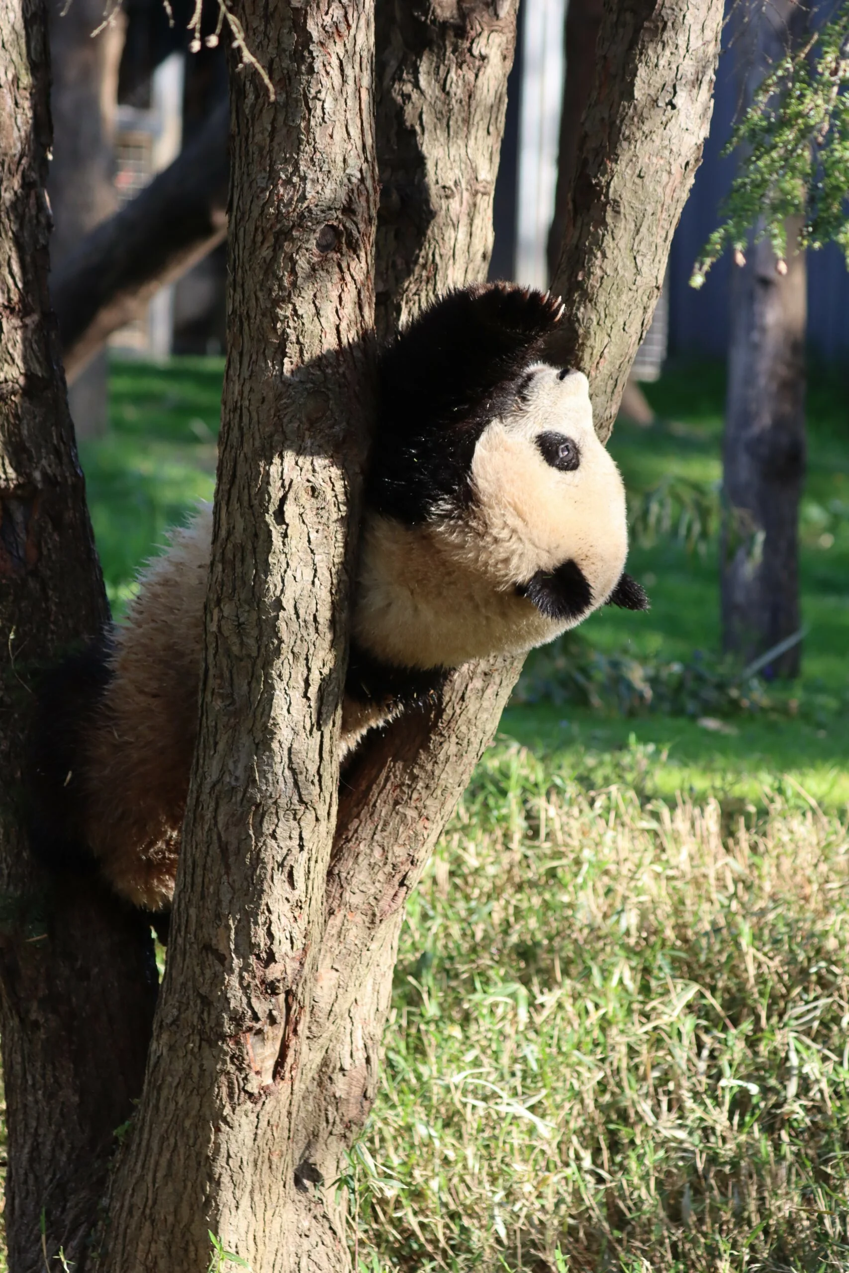 Smithsonian's National Zoo