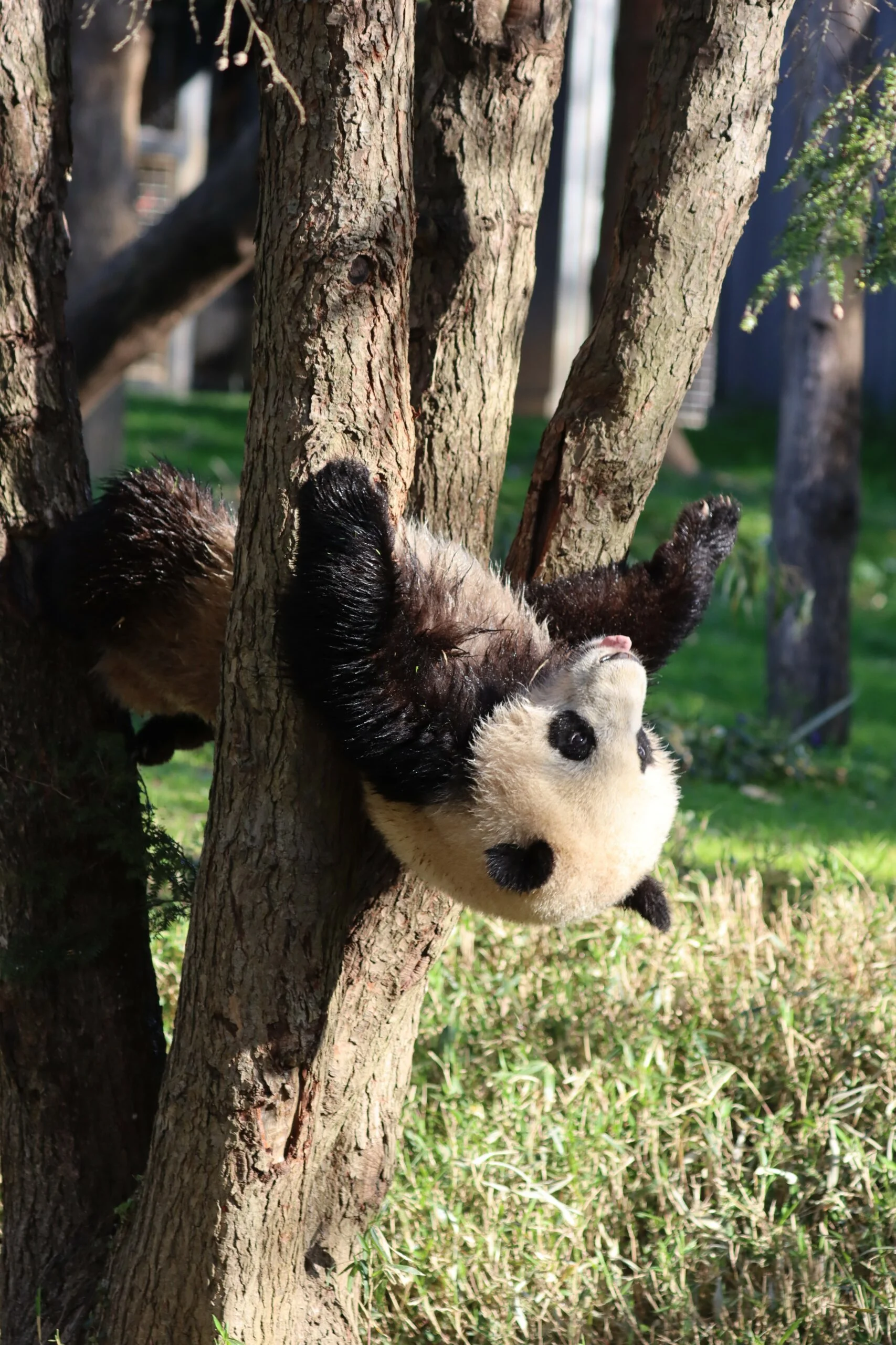 Smithsonian's National Zoo