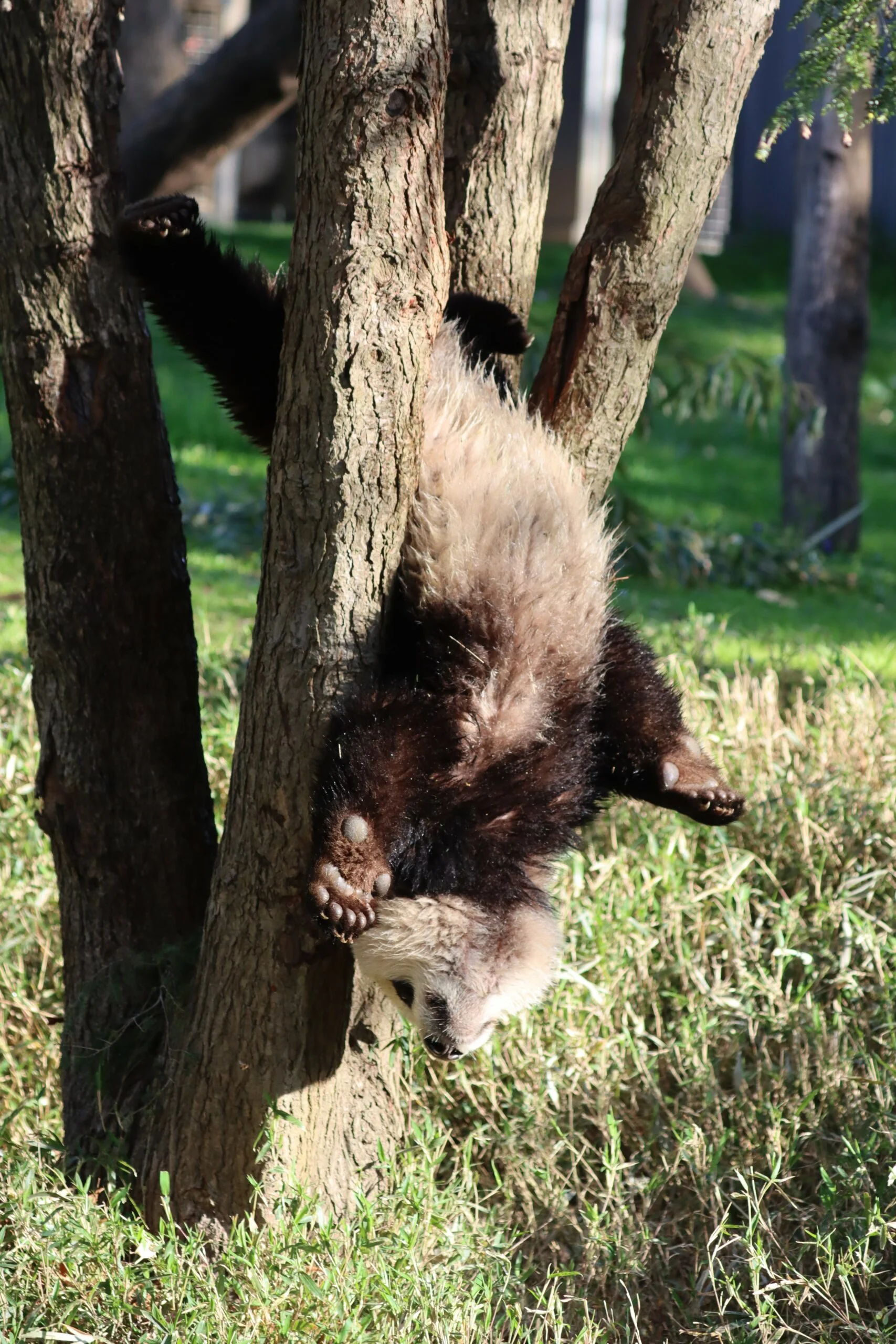 Smithsonian's National Zoo