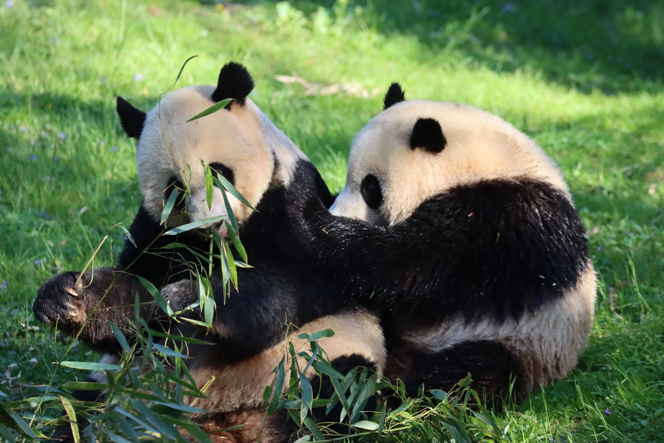 Smithsonian's National Zoo