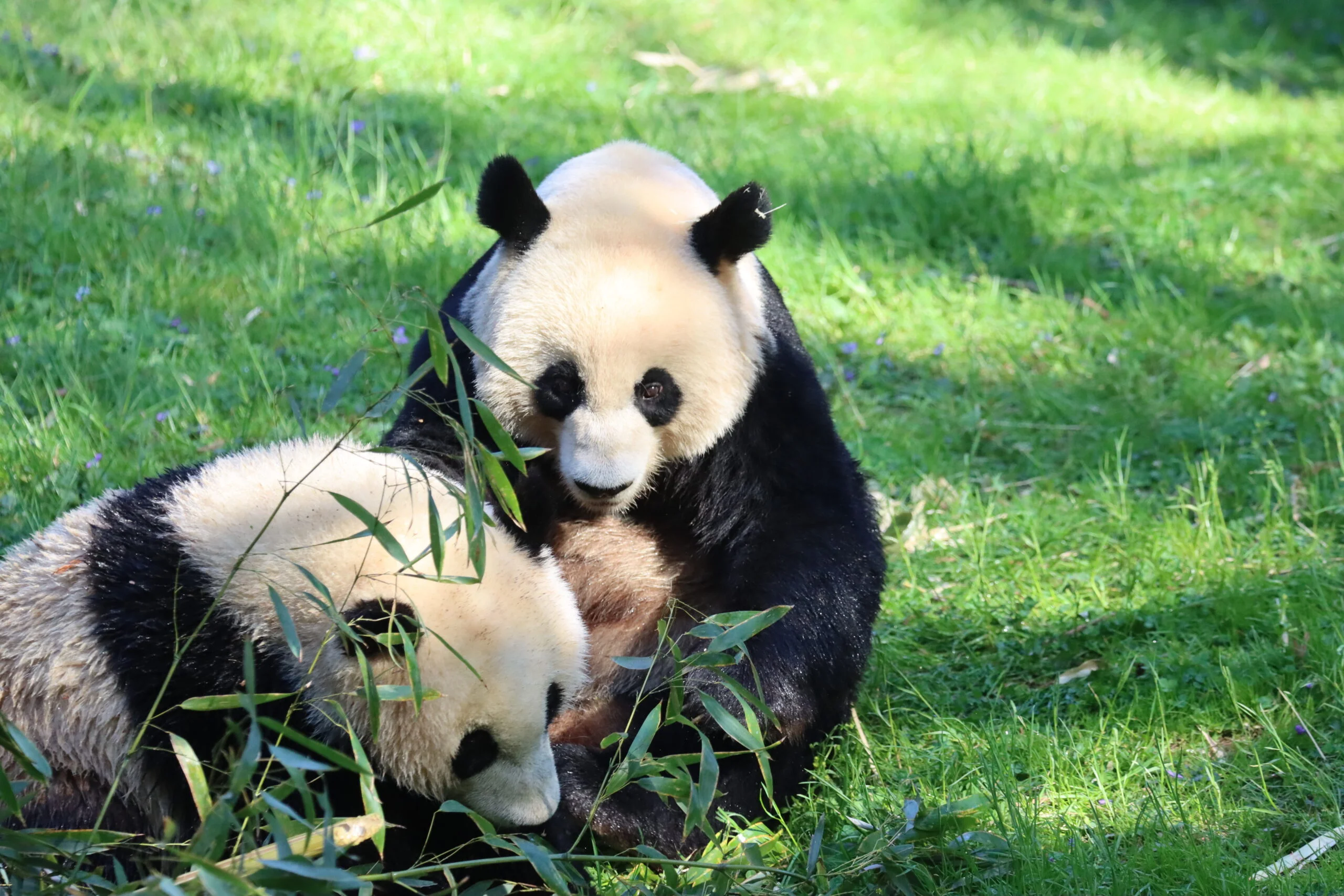 Smithsonian's National Zoo