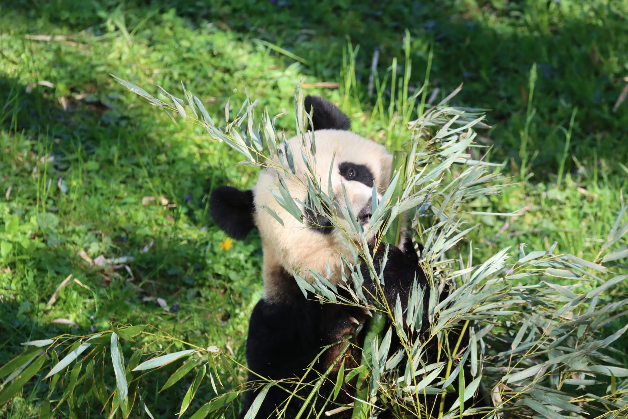 Smithsonian's National Zoo