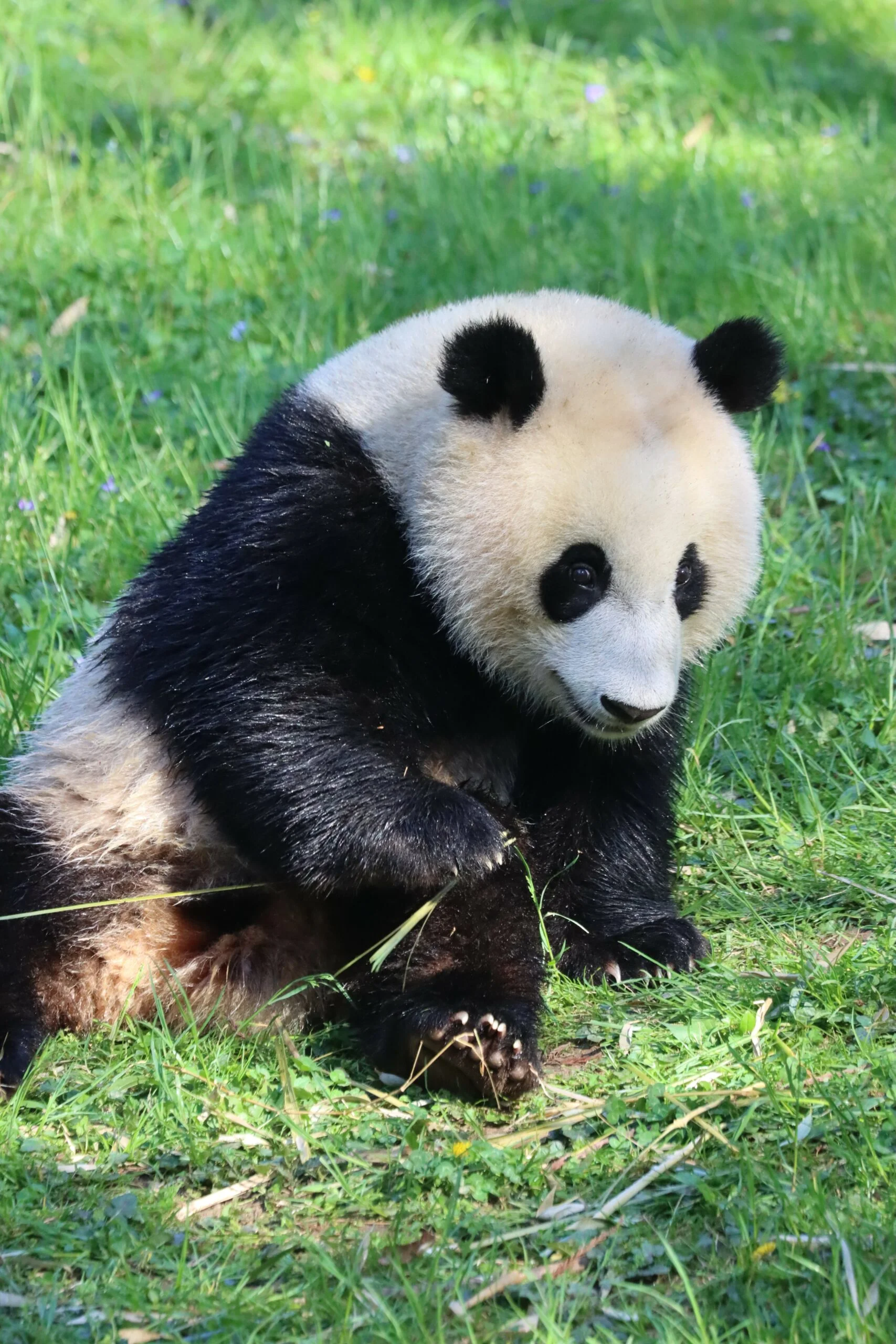 Smithsonian's National Zoo