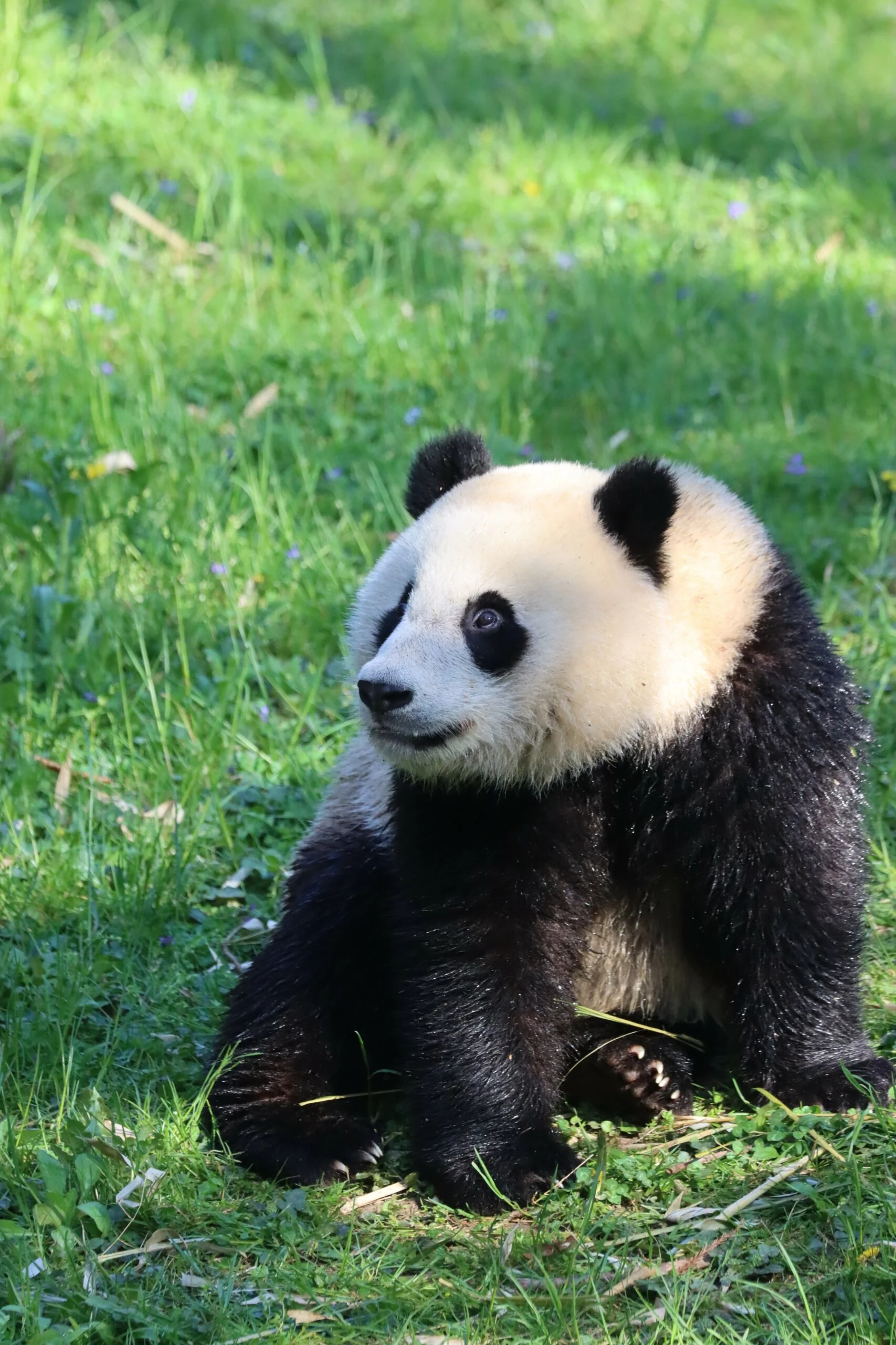 Smithsonian's National Zoo