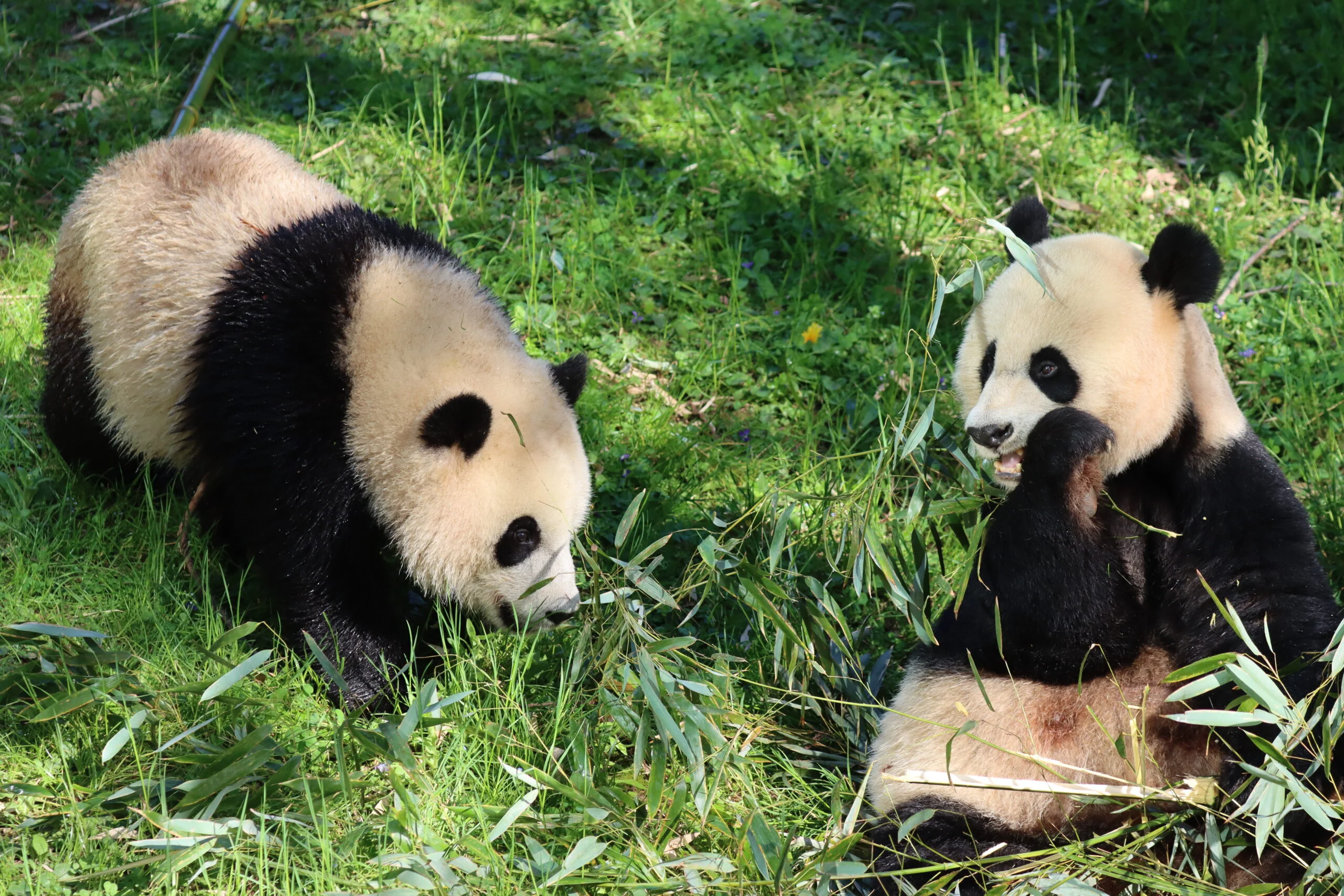 Smithsonian's National Zoo