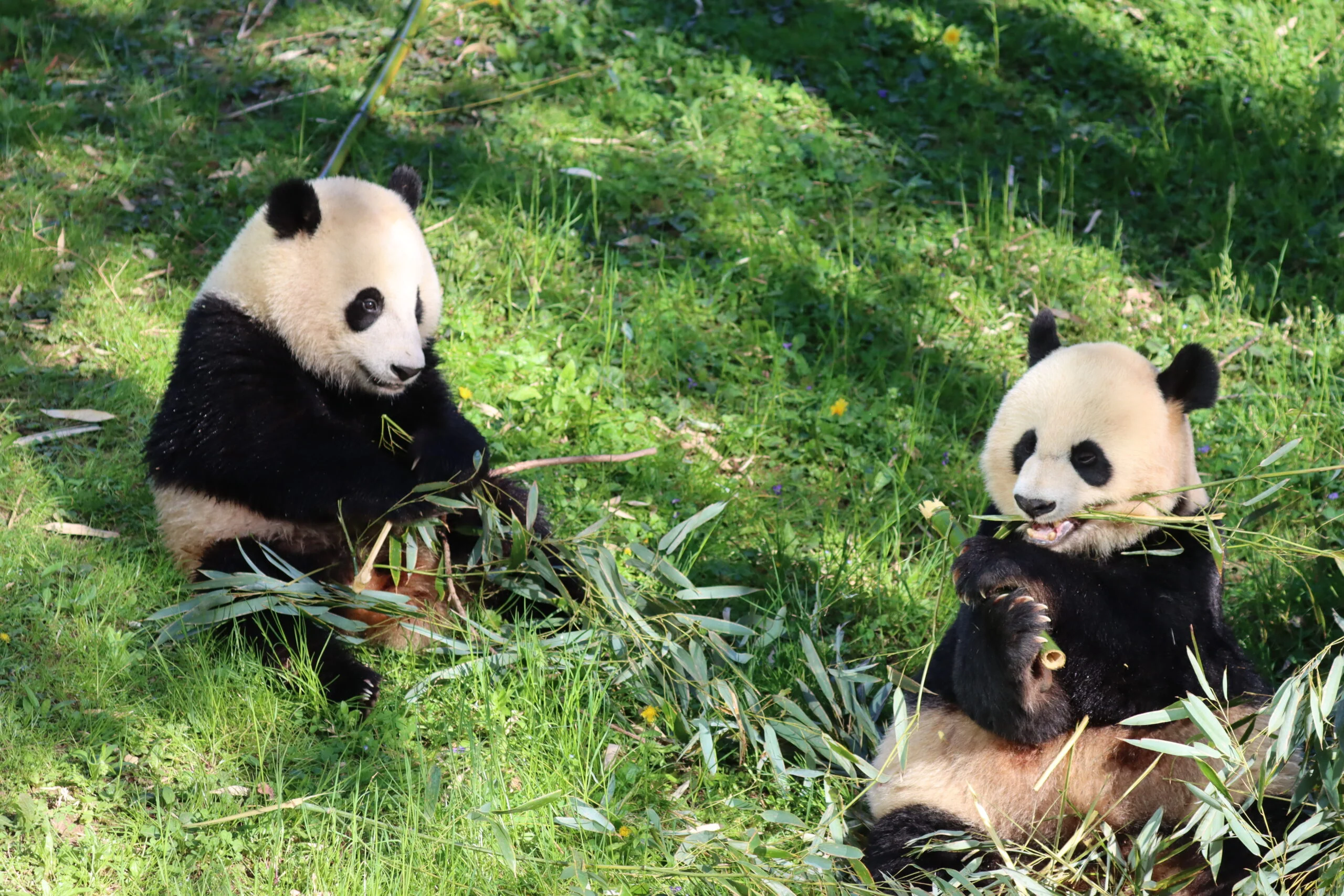 Smithsonian's National Zoo