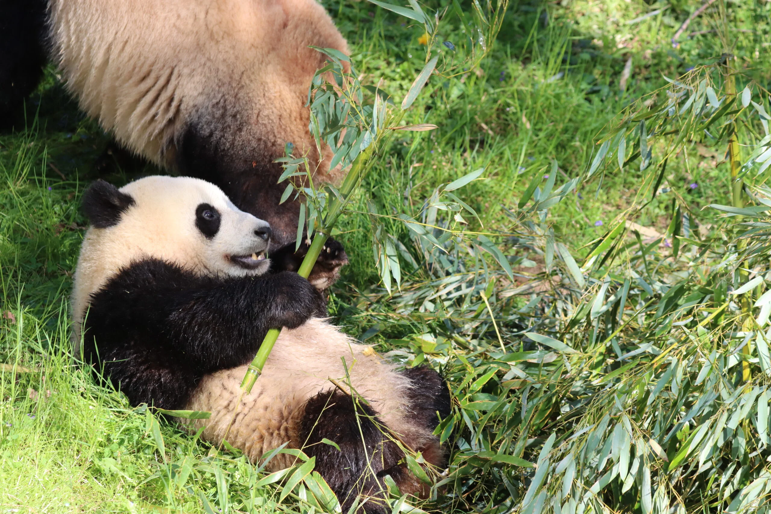 Smithsonian's National Zoo