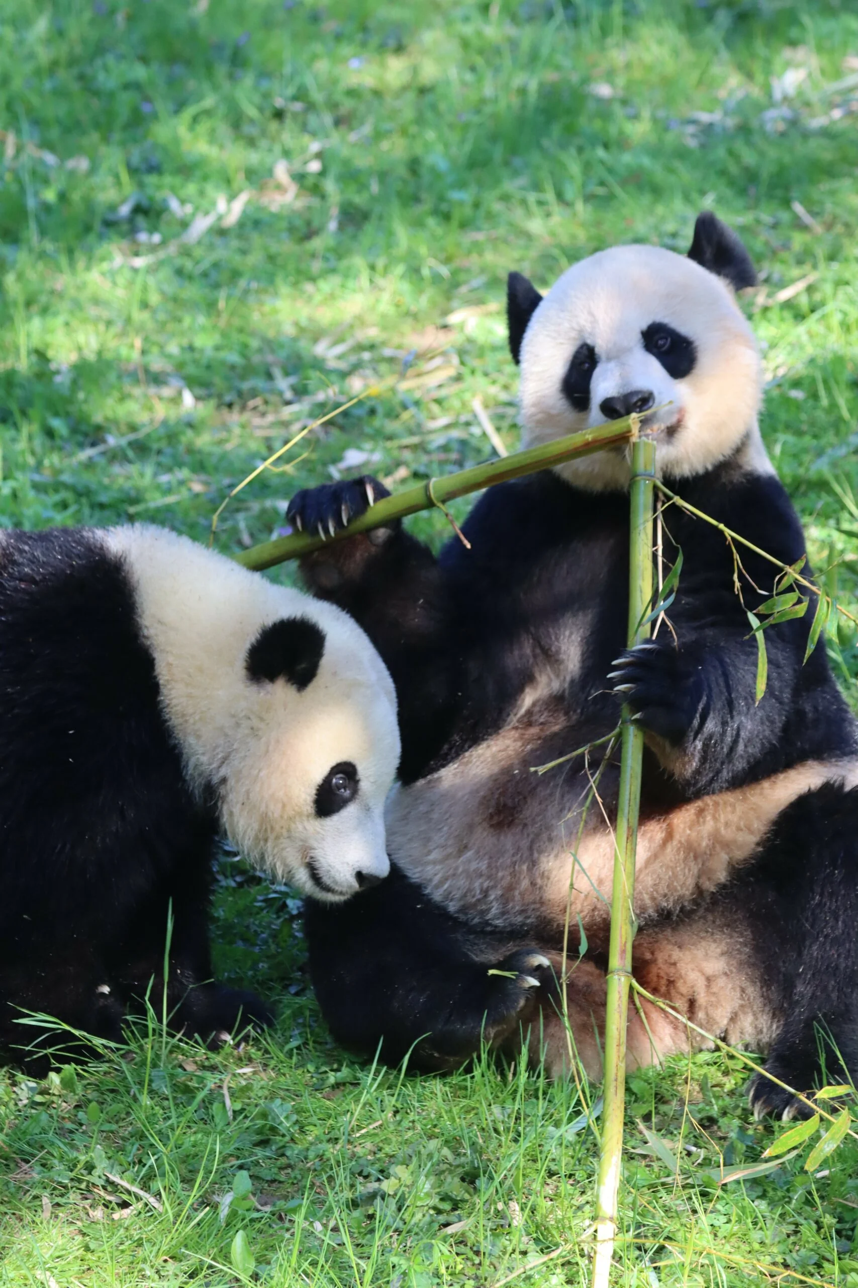 Smithsonian's National Zoo