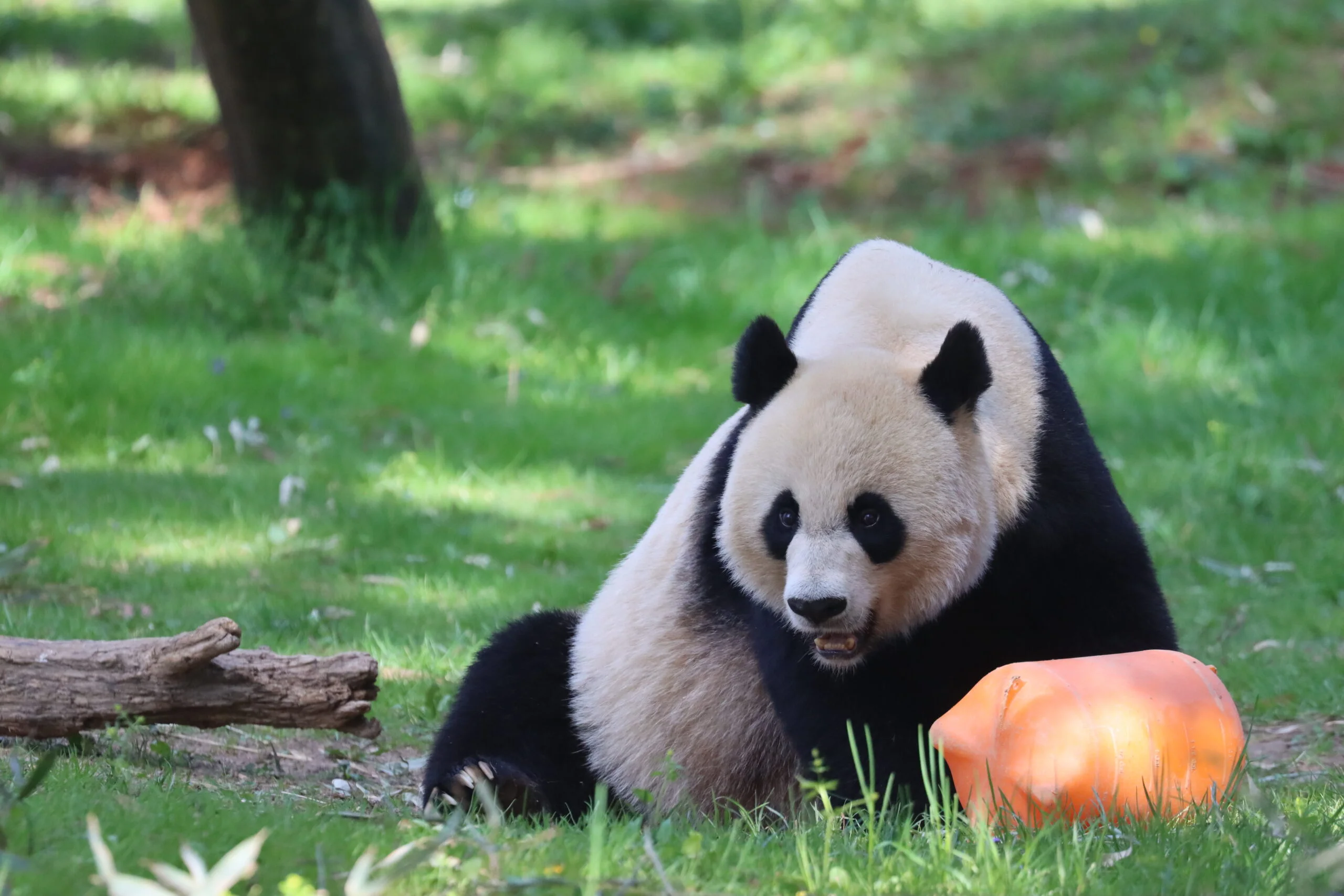 Smithsonian's National Zoo